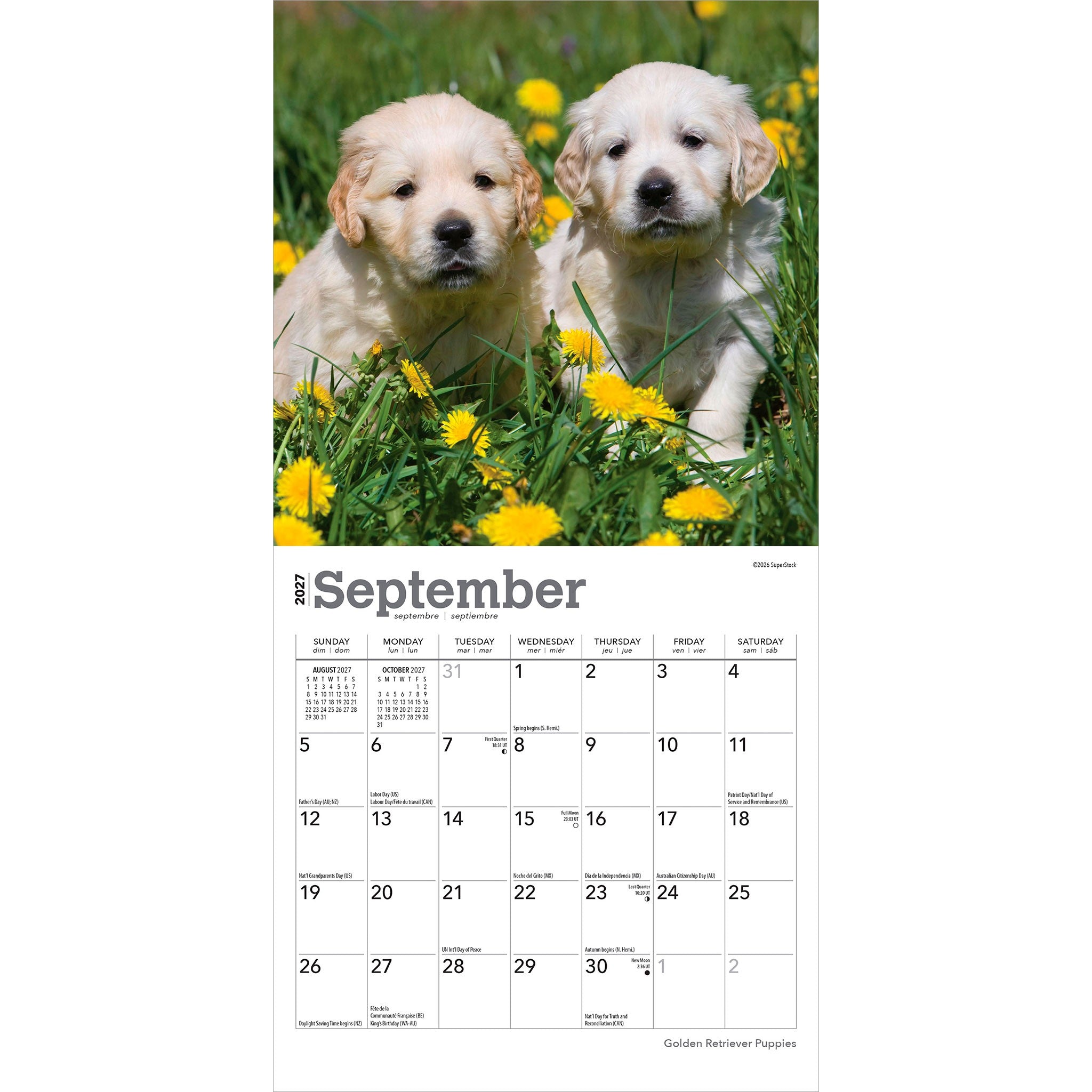Golden Retriever Puppies 2027 Mini Calendar