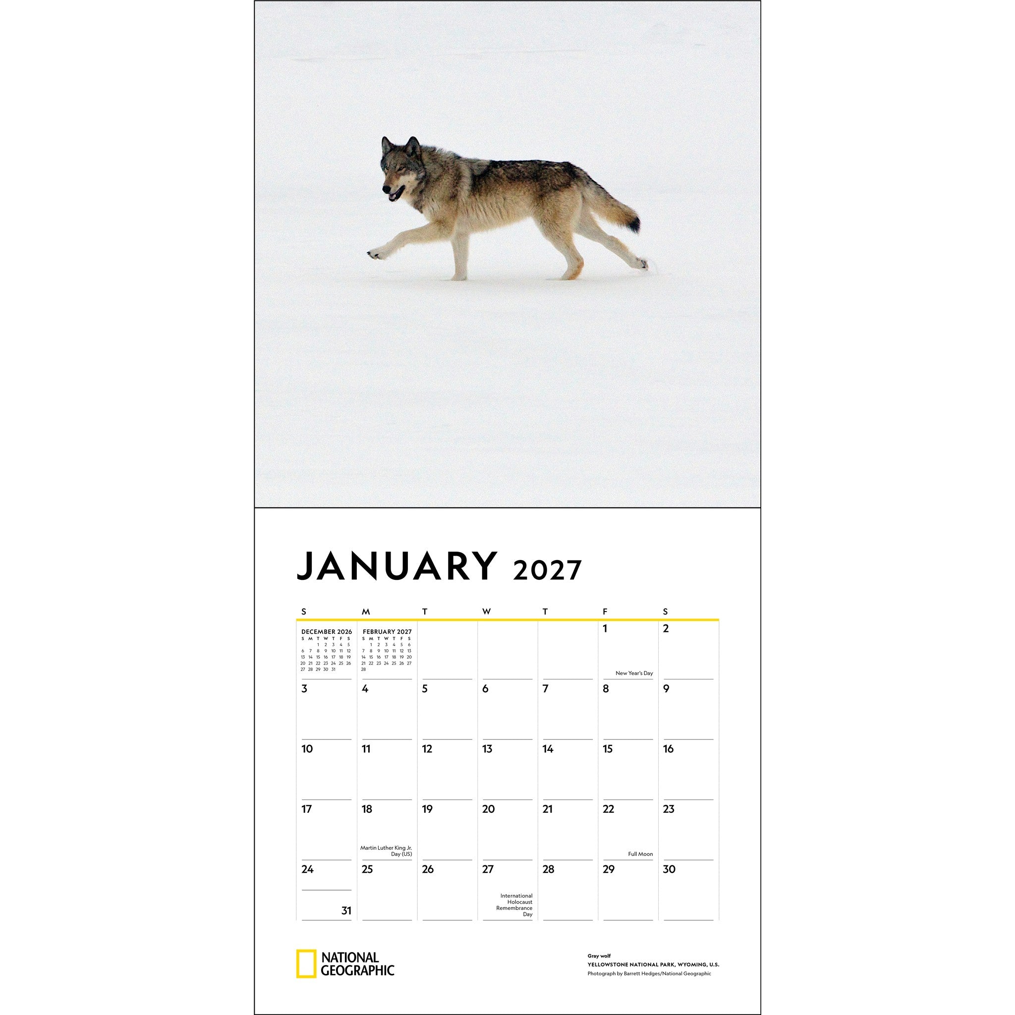 National Geographic: Wolves 2027 Wall Calendar