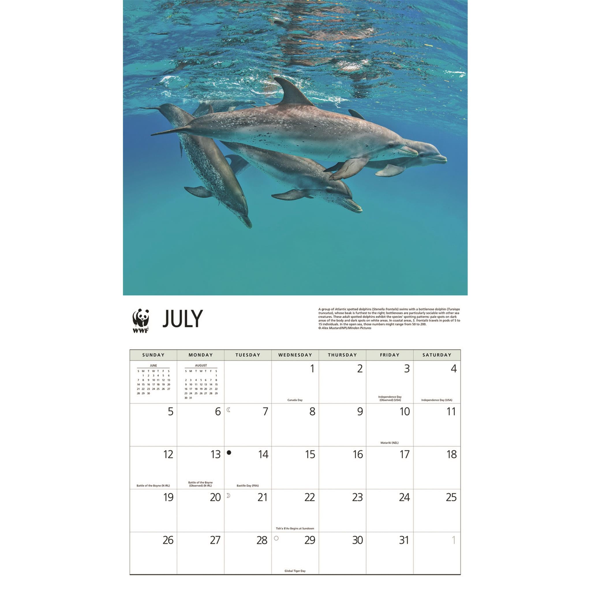 Calendrier mural Dauphins 2026 du Fonds mondial pour la nature