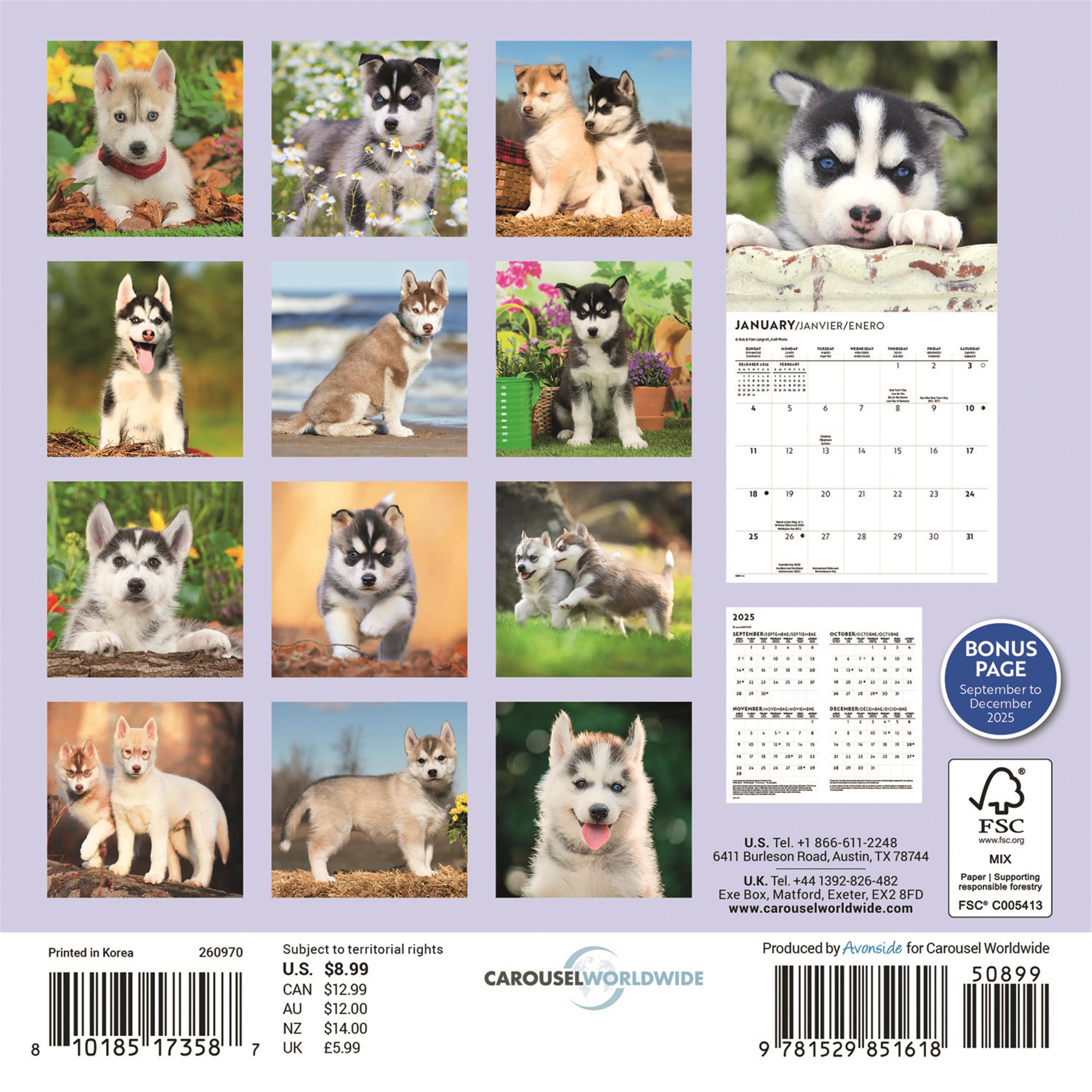 Mini calendrier 2026 des chiots Husky de Sibérie