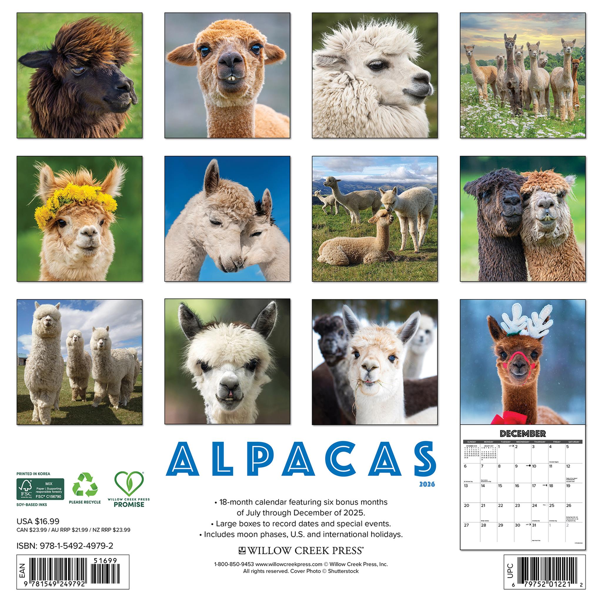 Alpacas 2026 Wall Calendar