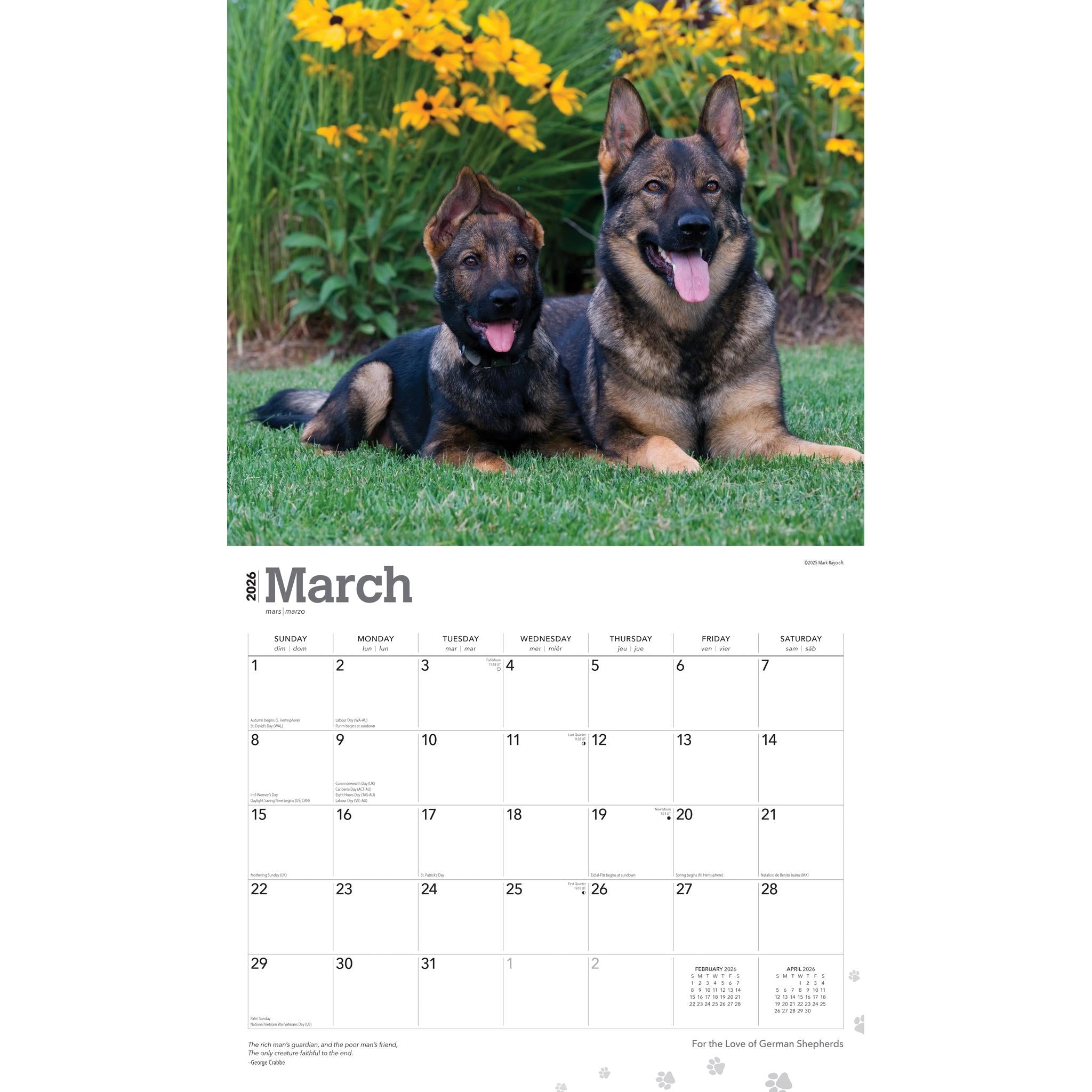 For The Love Of German Shepherds 2026 Wall Calendar