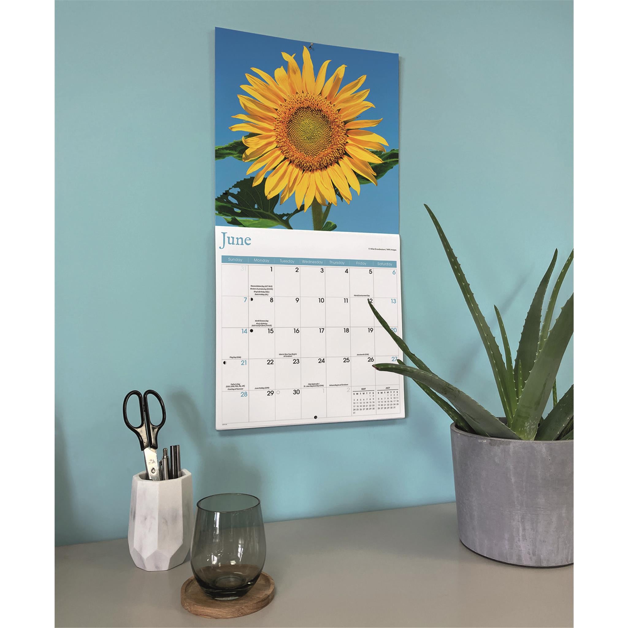 Calendrier mural Tournesols 2026
