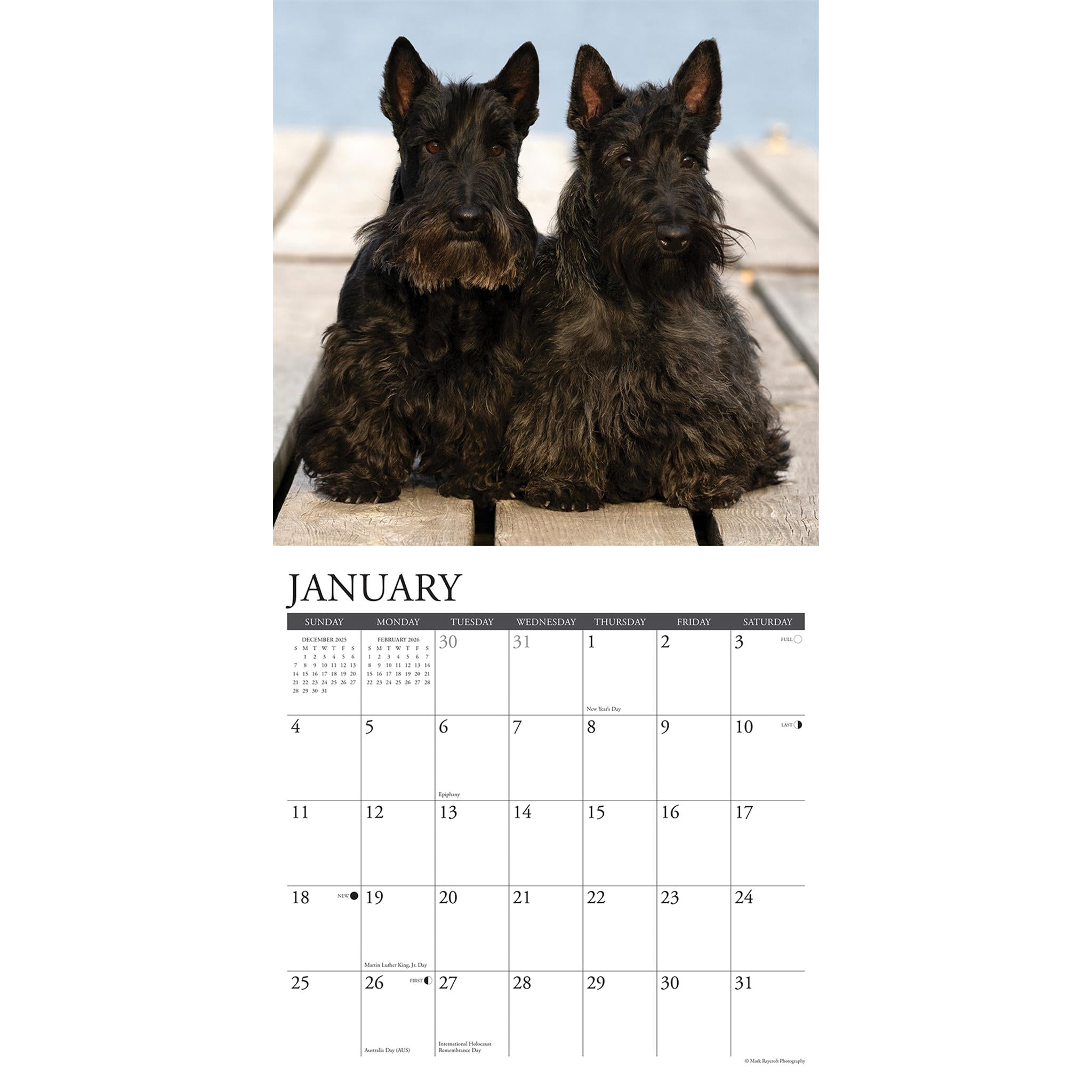 Calendrier mural Just Scotties 2026