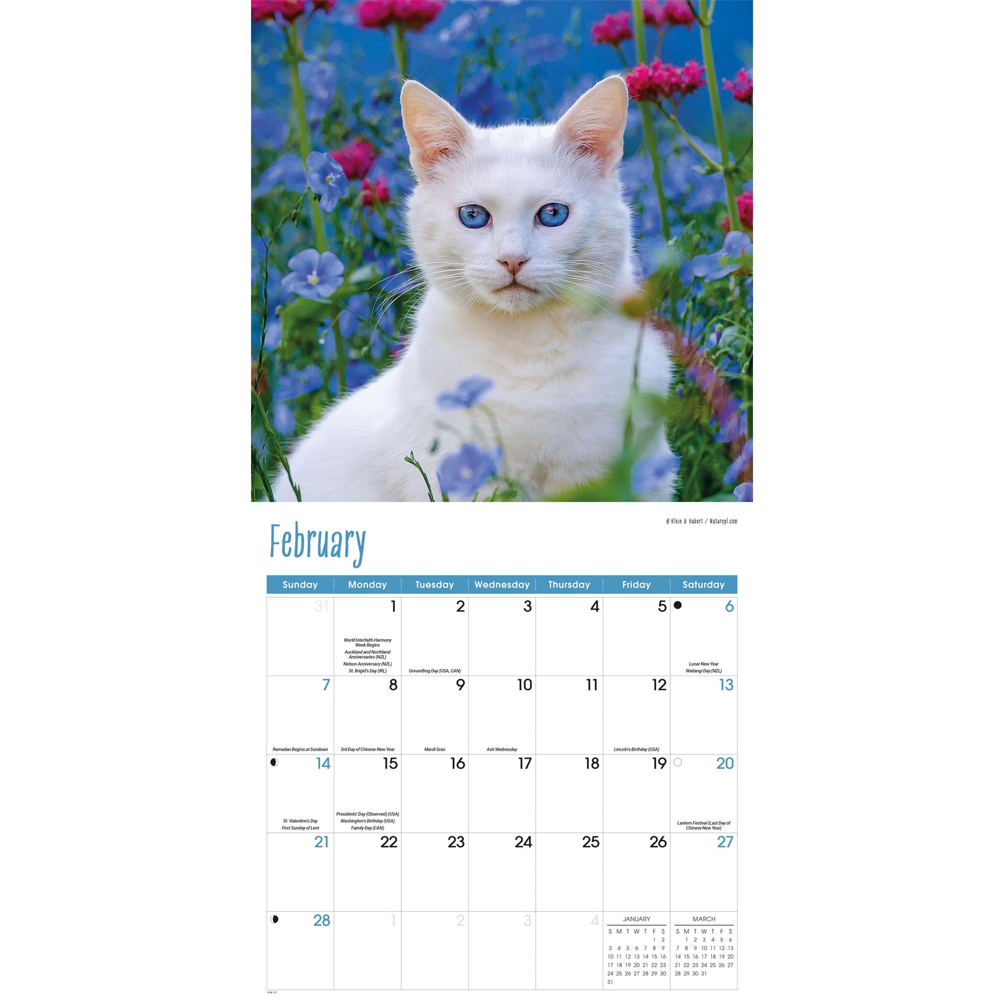 Calendrier mural 2027 Chats