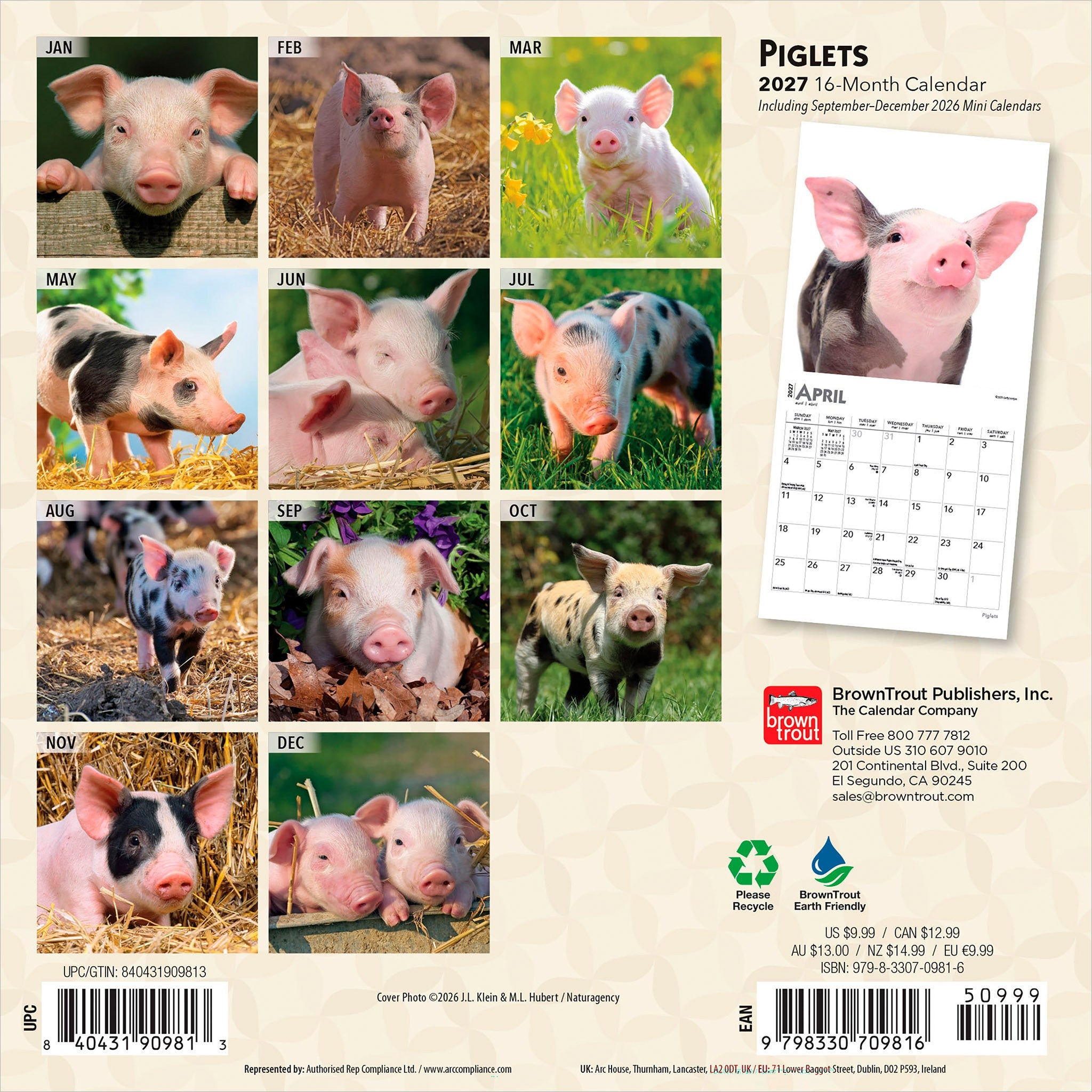 Piglets 2027 Mini Calendar