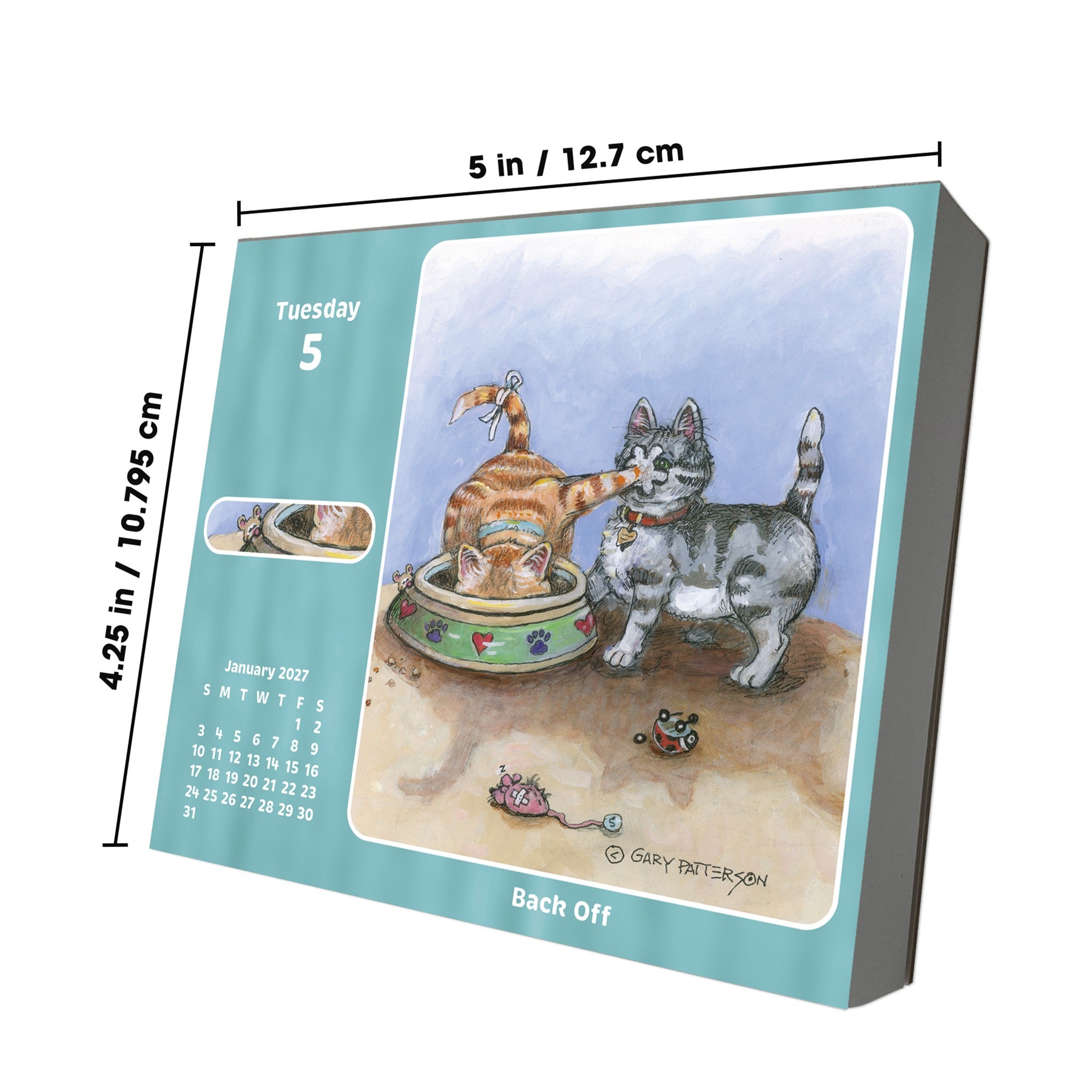 Gary Patterson Smile a Day 2027 Box Calendar