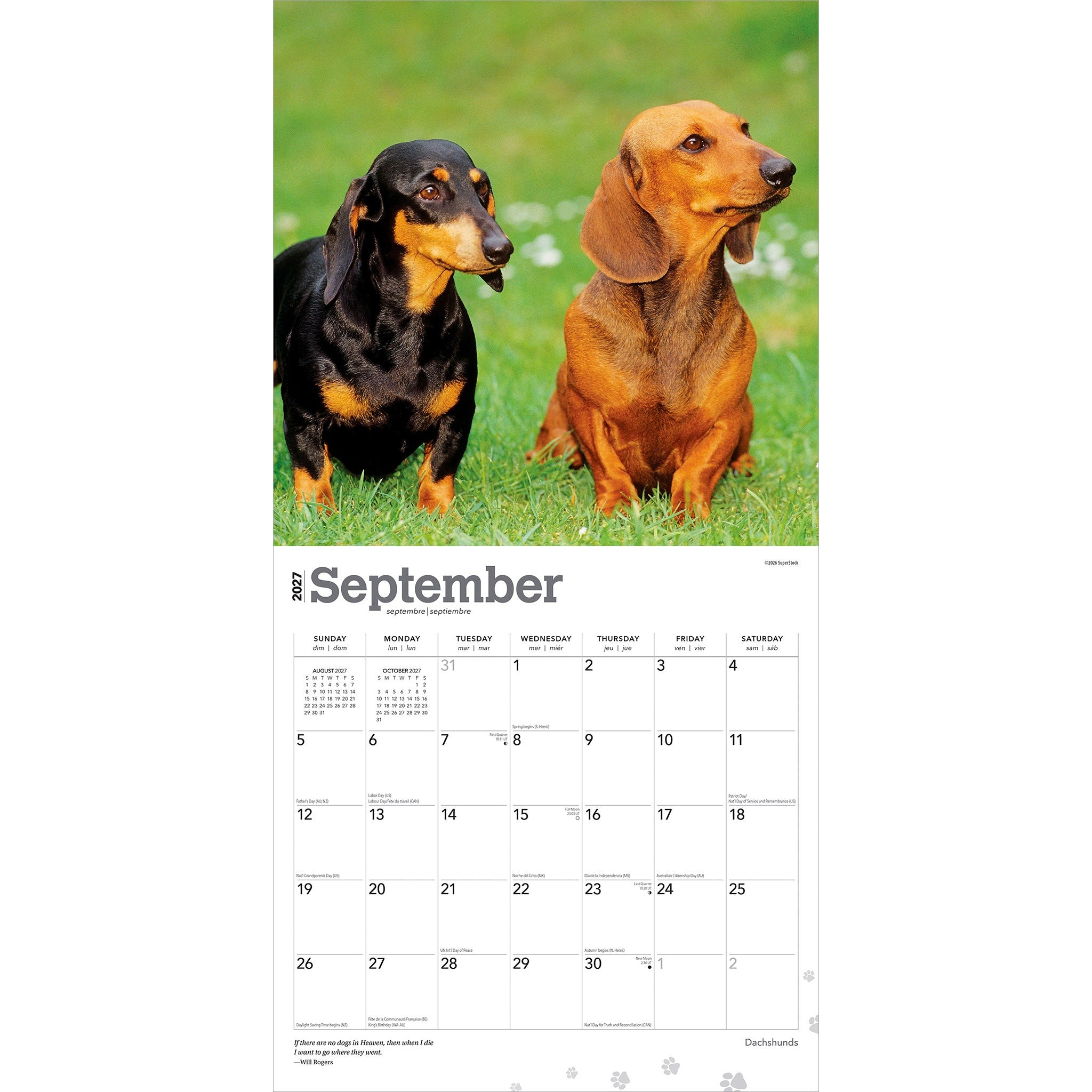 Dachshunds 2027 Wall Calendar