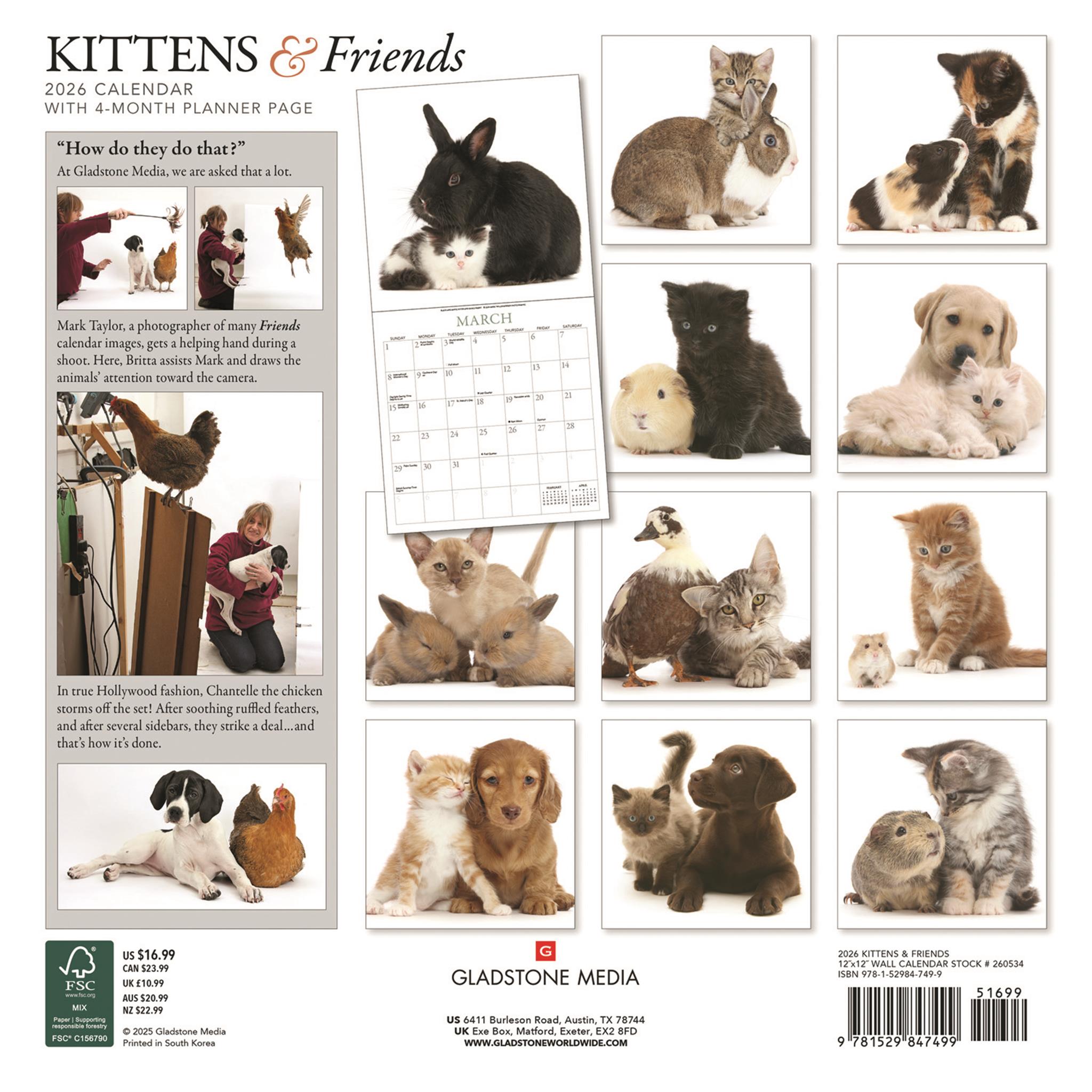 Calendrier mural Chatons et Amis 2026