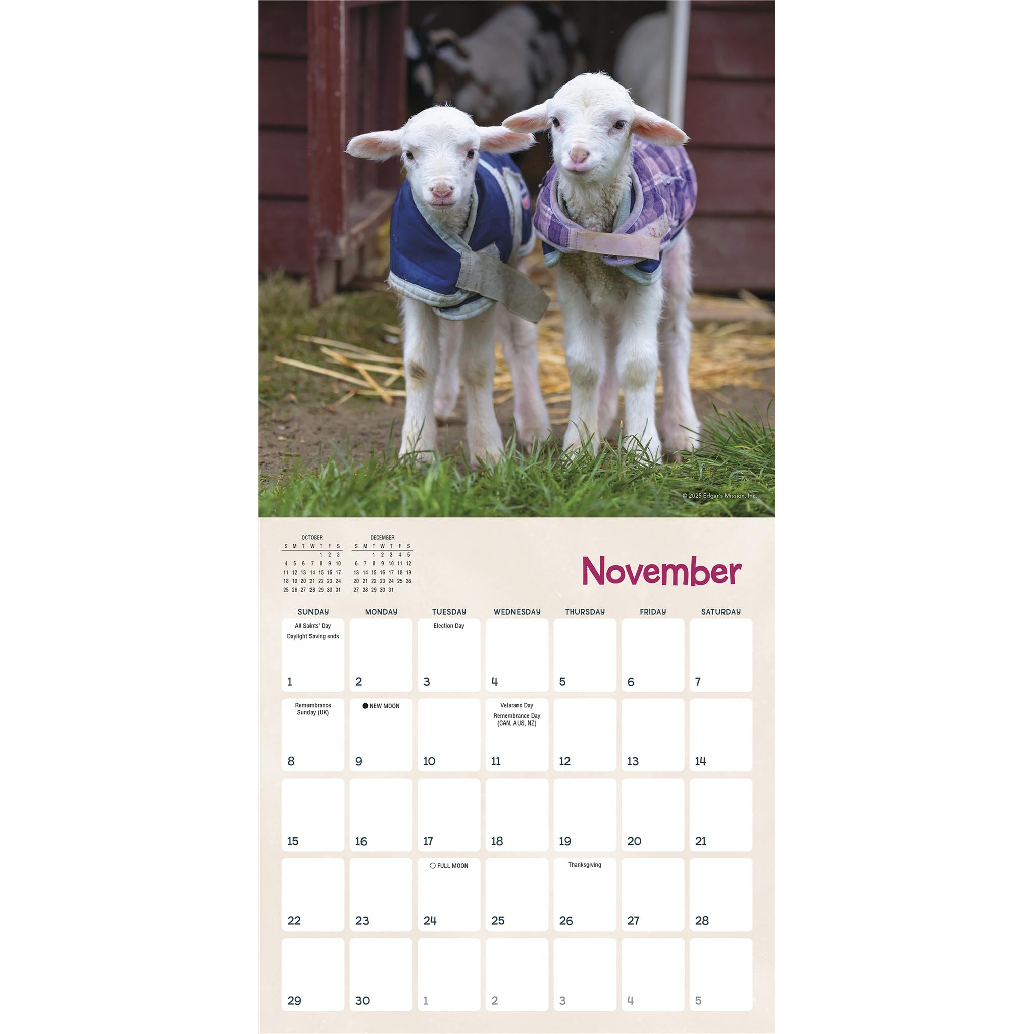 Mini-calendrier 2026 : Agneaux en pyjama et chèvres en manteau