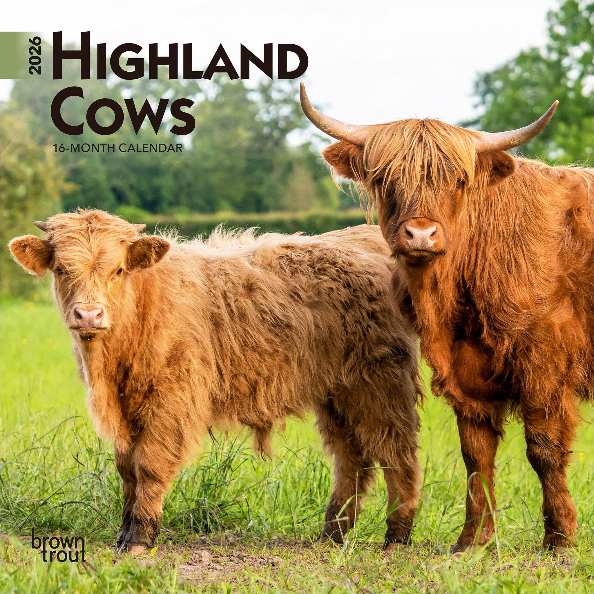 Mini-calendrier des vaches des Highlands 2026