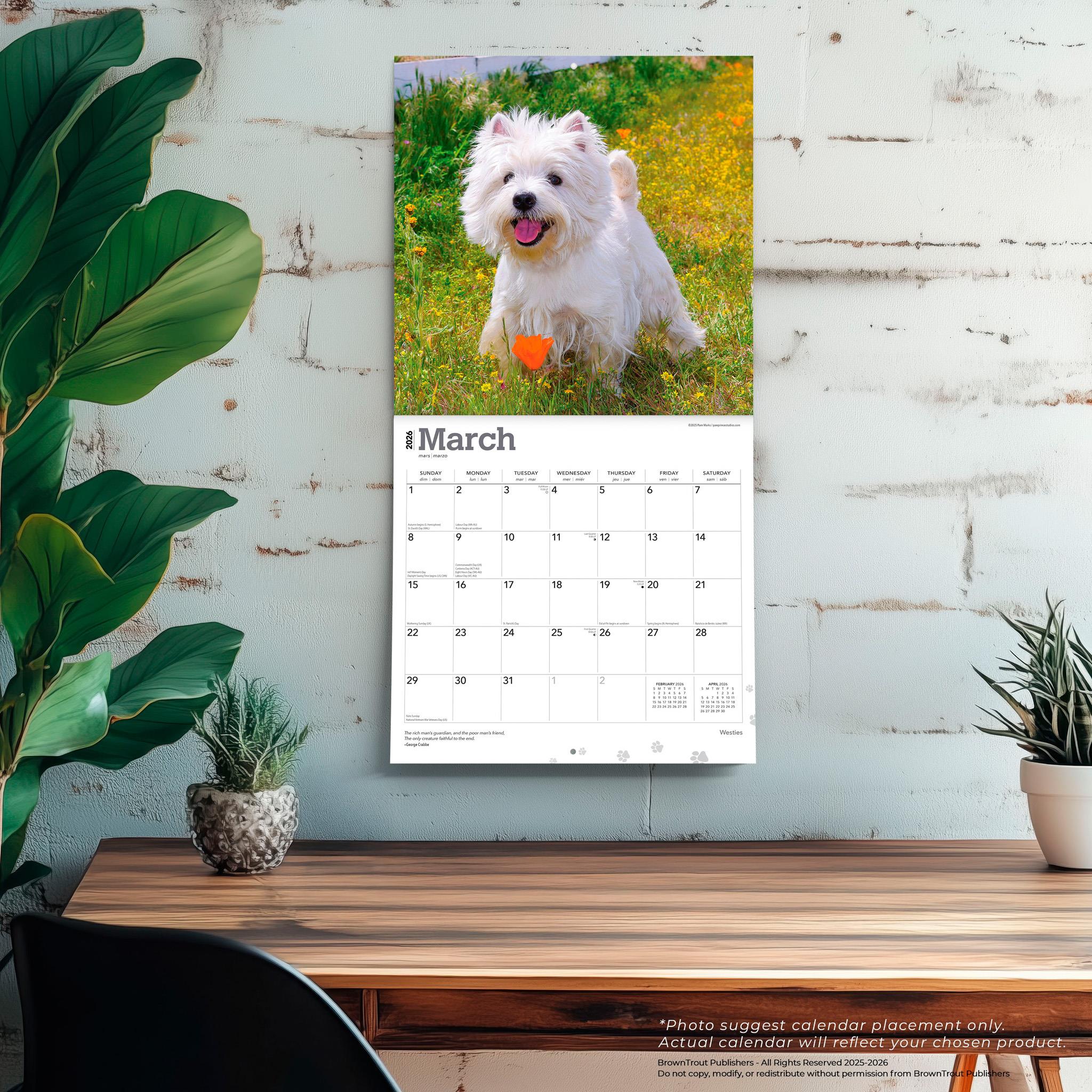 Calendrier mural West Highland White Terriers 2026