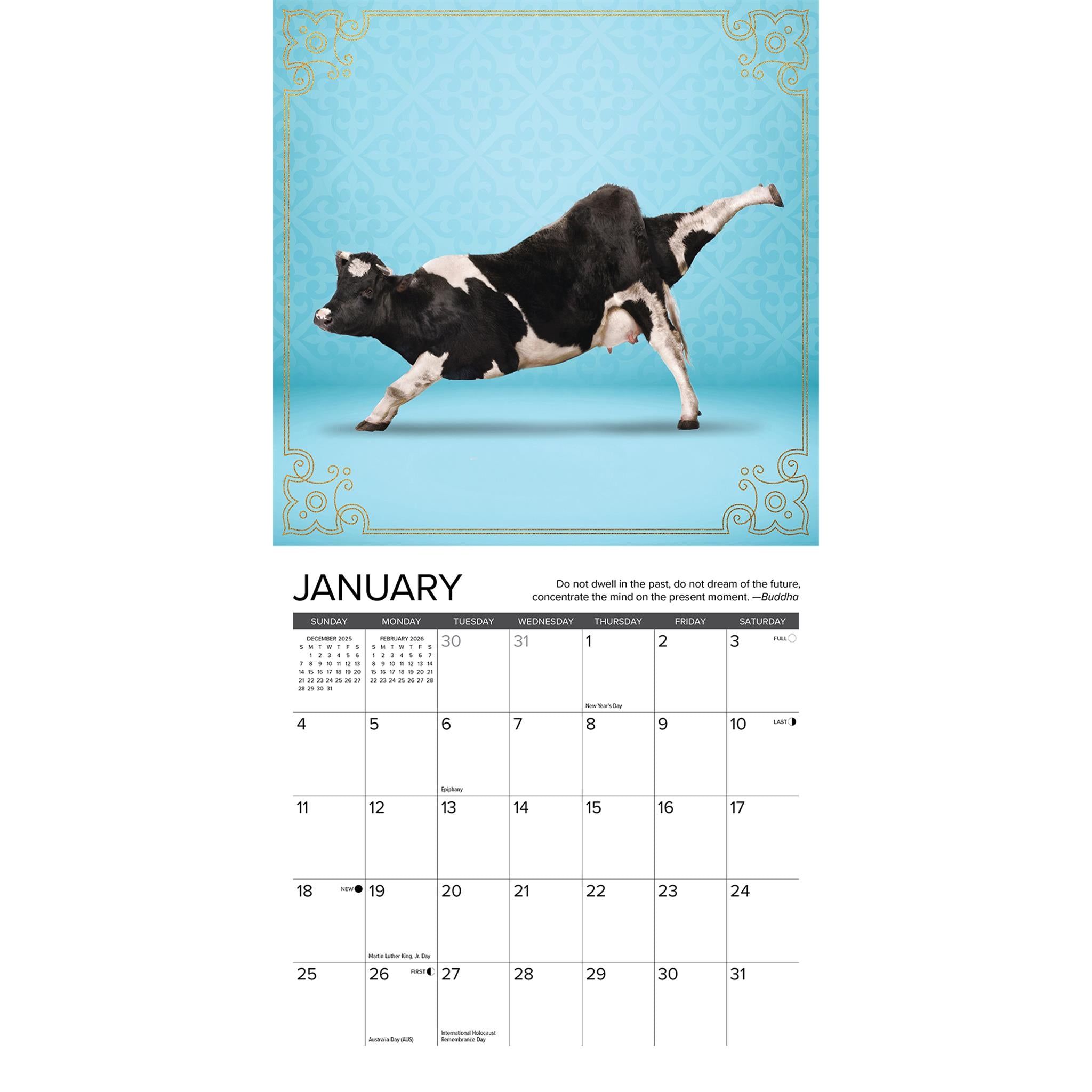 Cow Yoga 2026 Mini Calendar