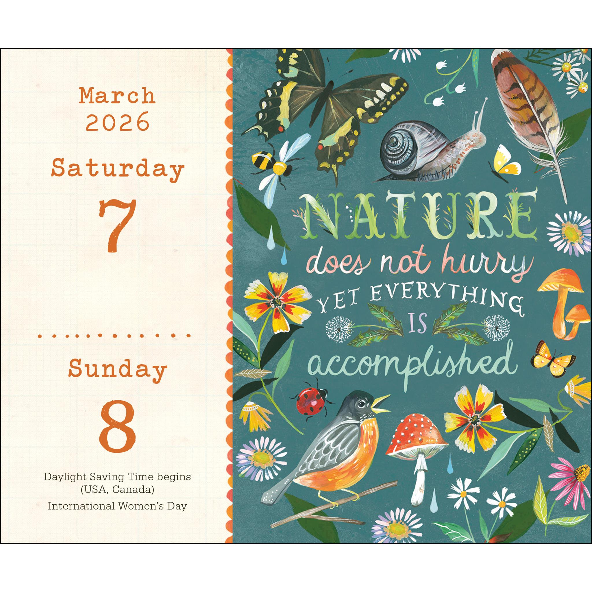 Katie Daisy 2026 Box Calendar - Online Only