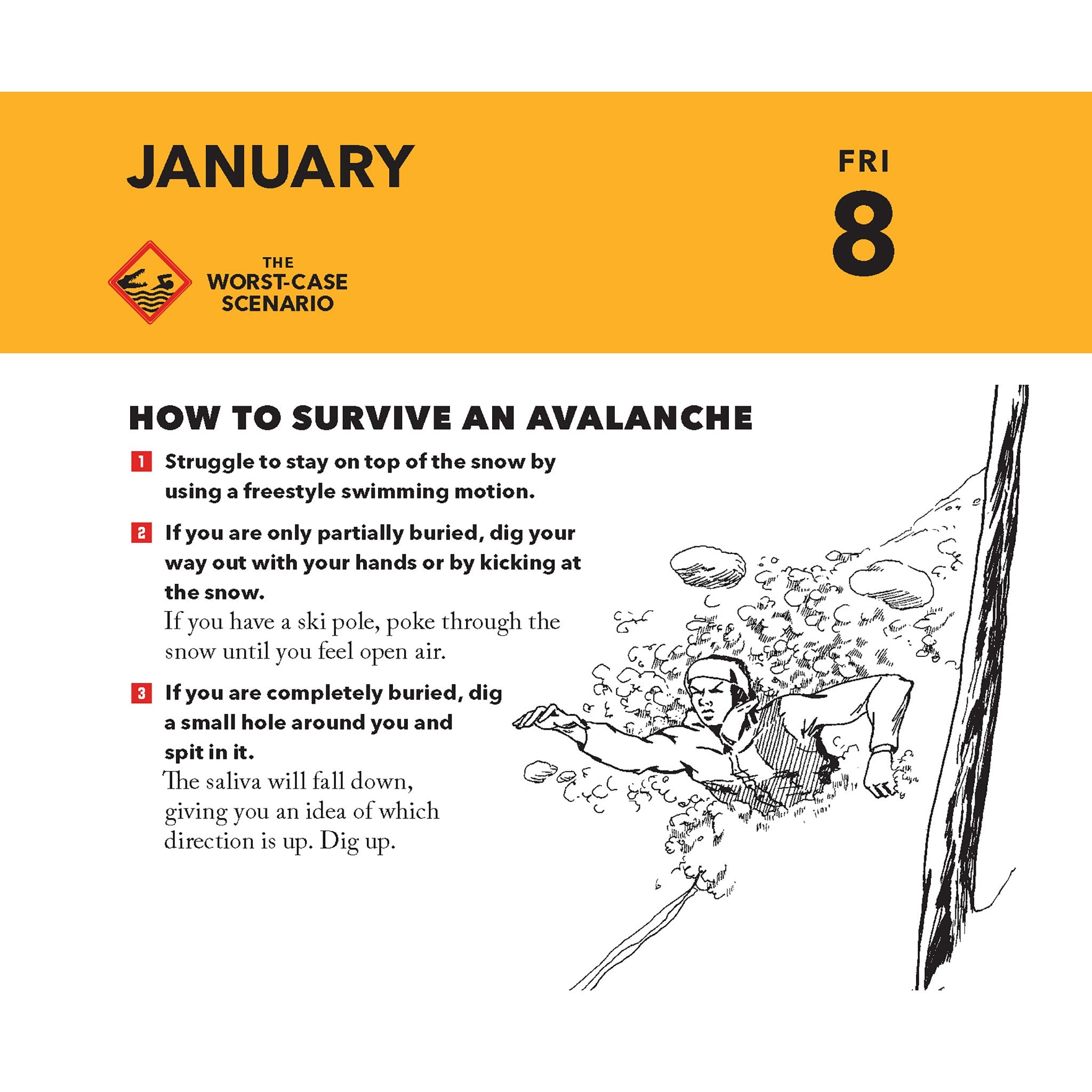 Worst Case Scenario Survival 2027 Box Calendar