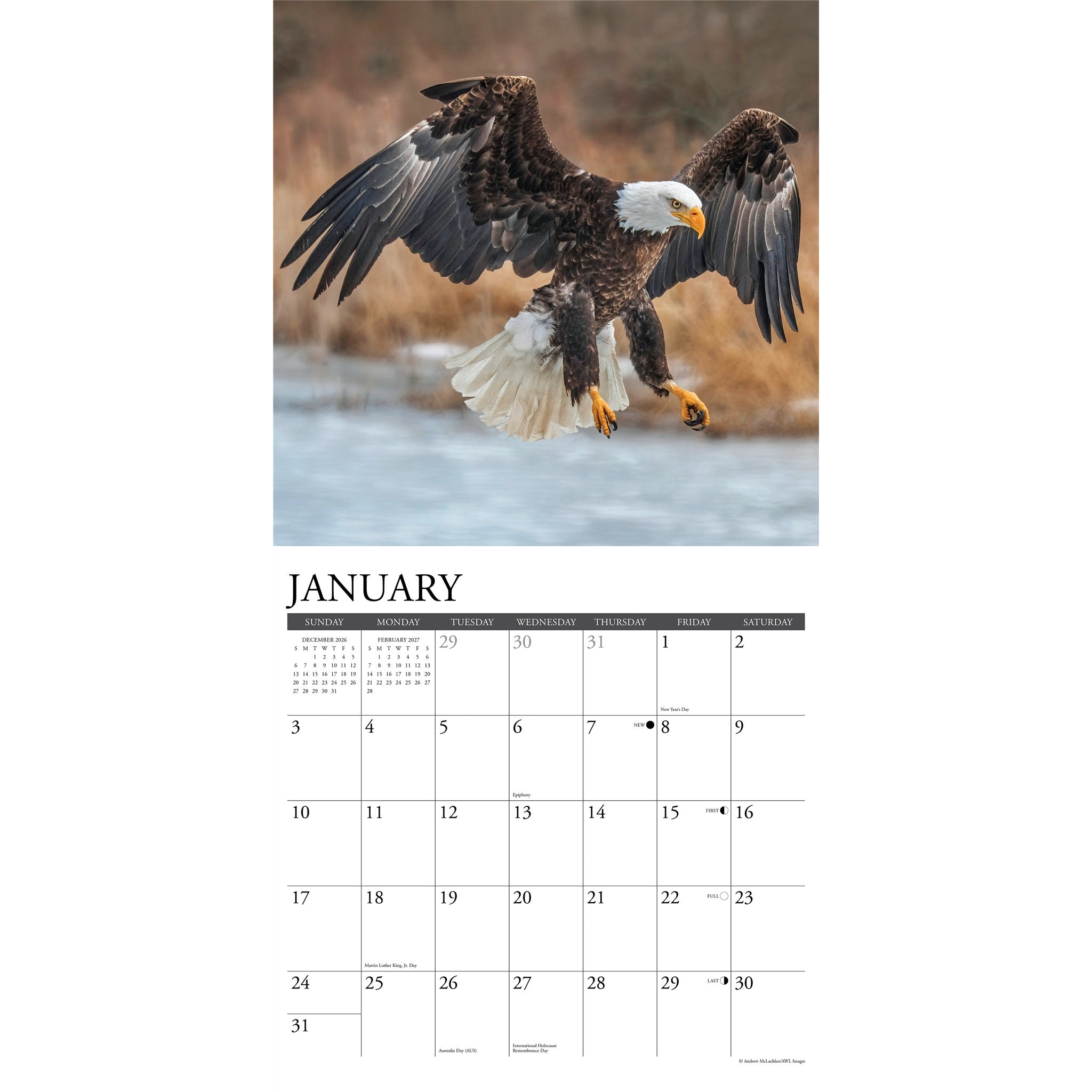 Eagles 2027 Wall Calendar - Online Only