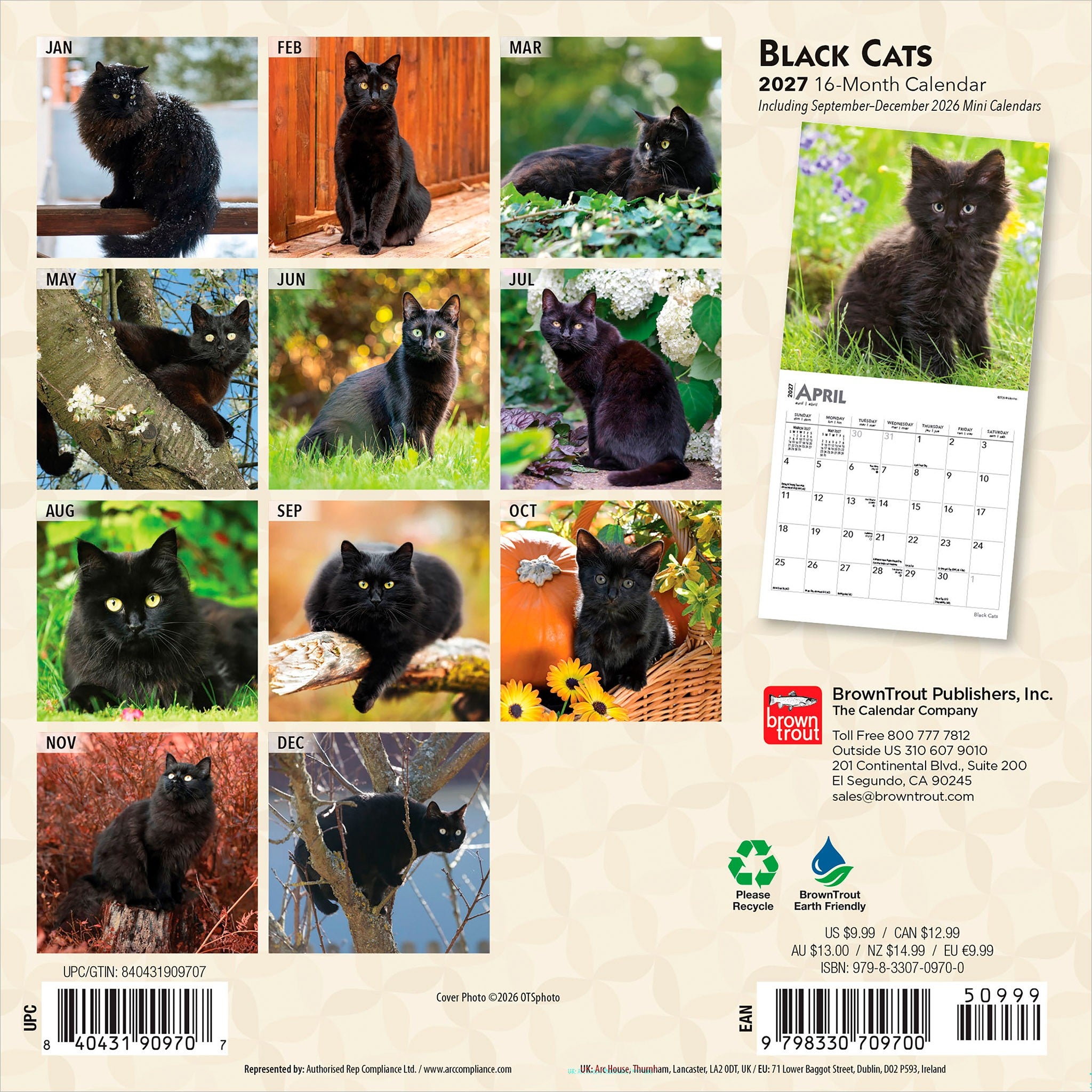Black Cats 2027 Mini Calendar