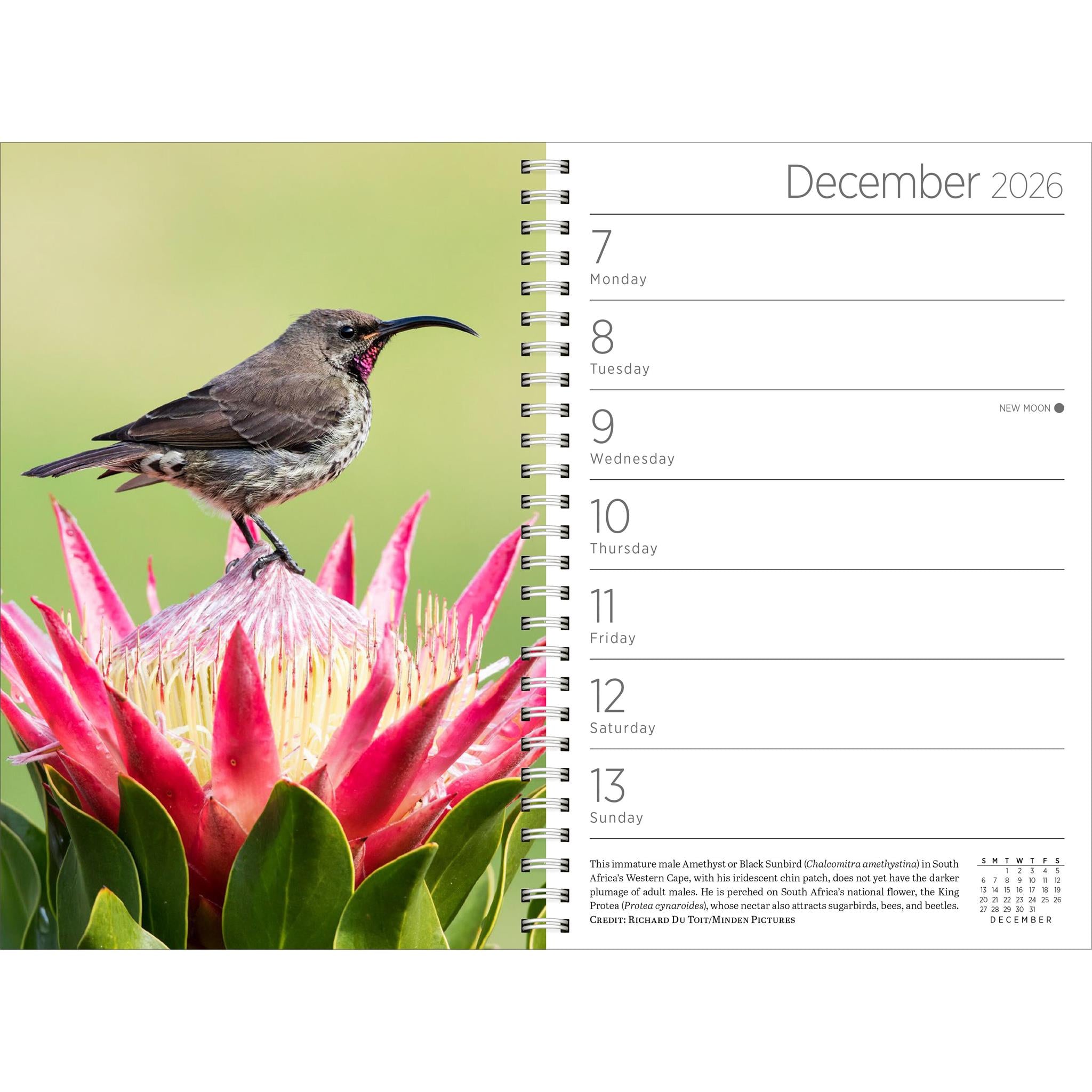 Calendrier des engagements Audubon 2026