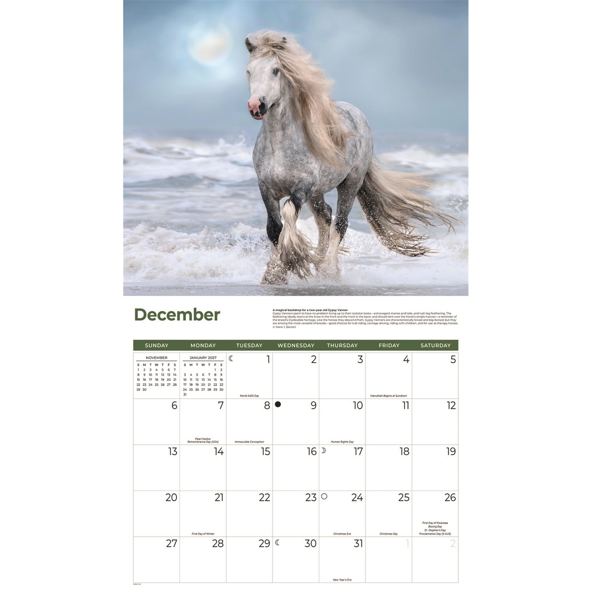Calendrier mural Chevaux 2026