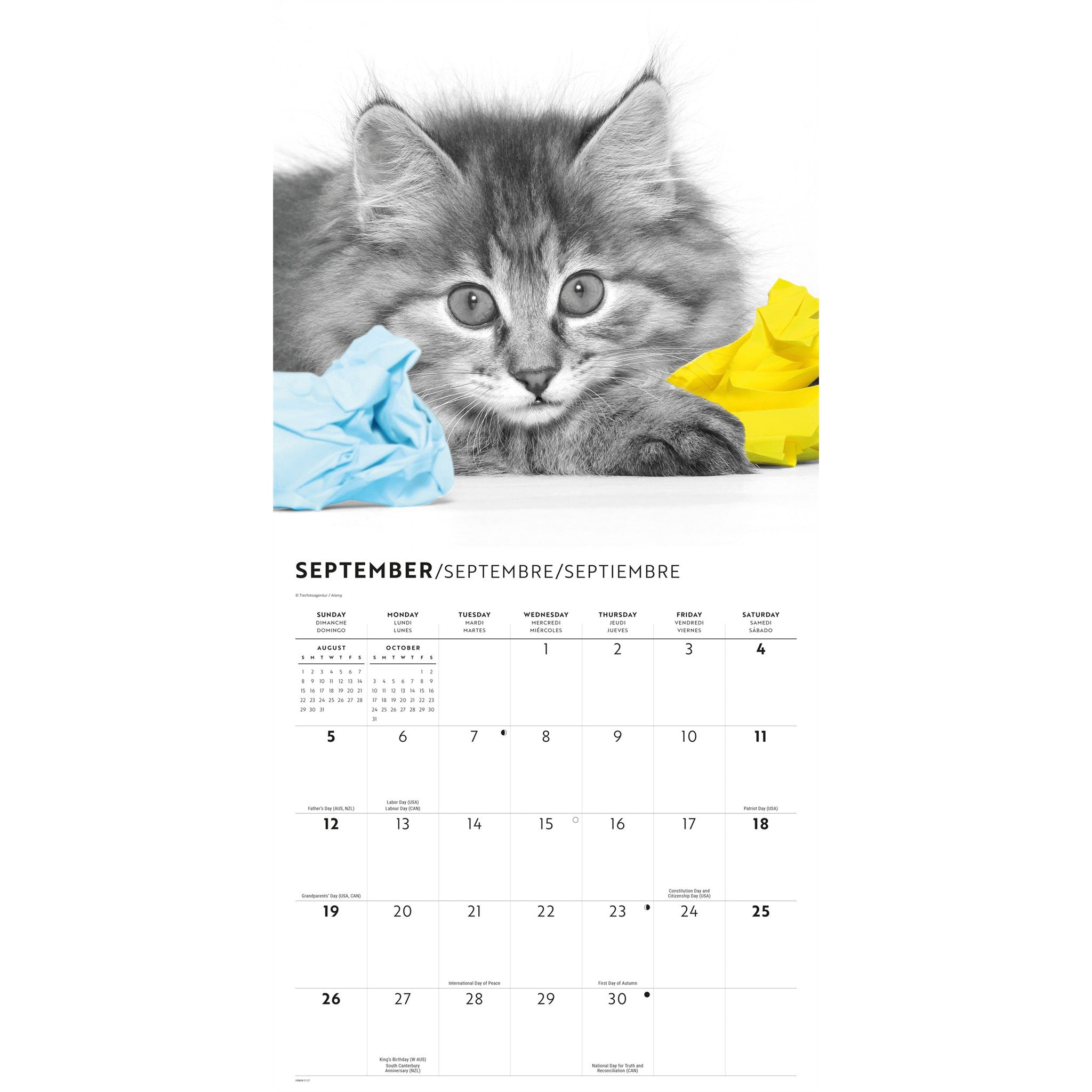 Calendrier mural 2027 Chats