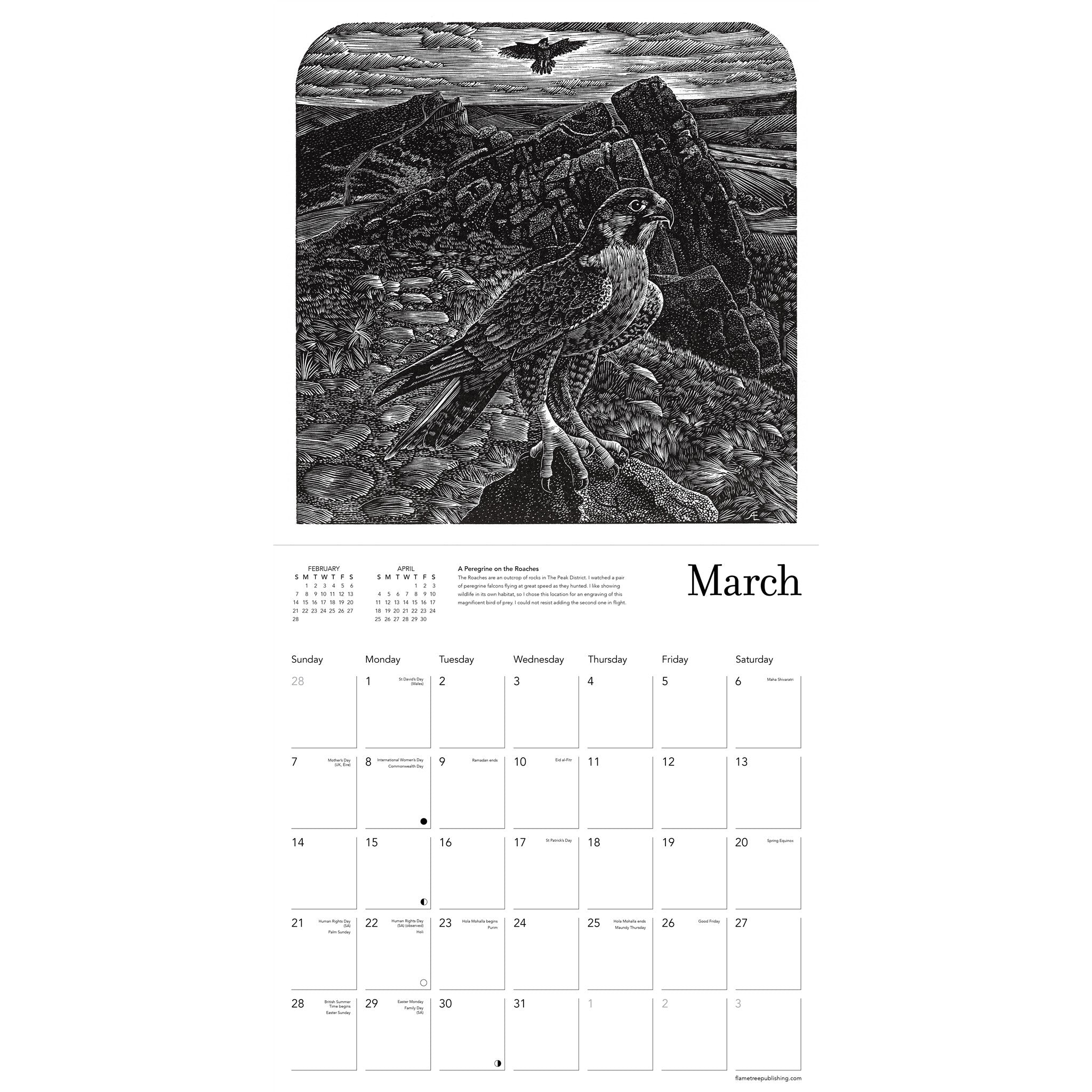 Andy English 2027 Wall Calendar - Online Only