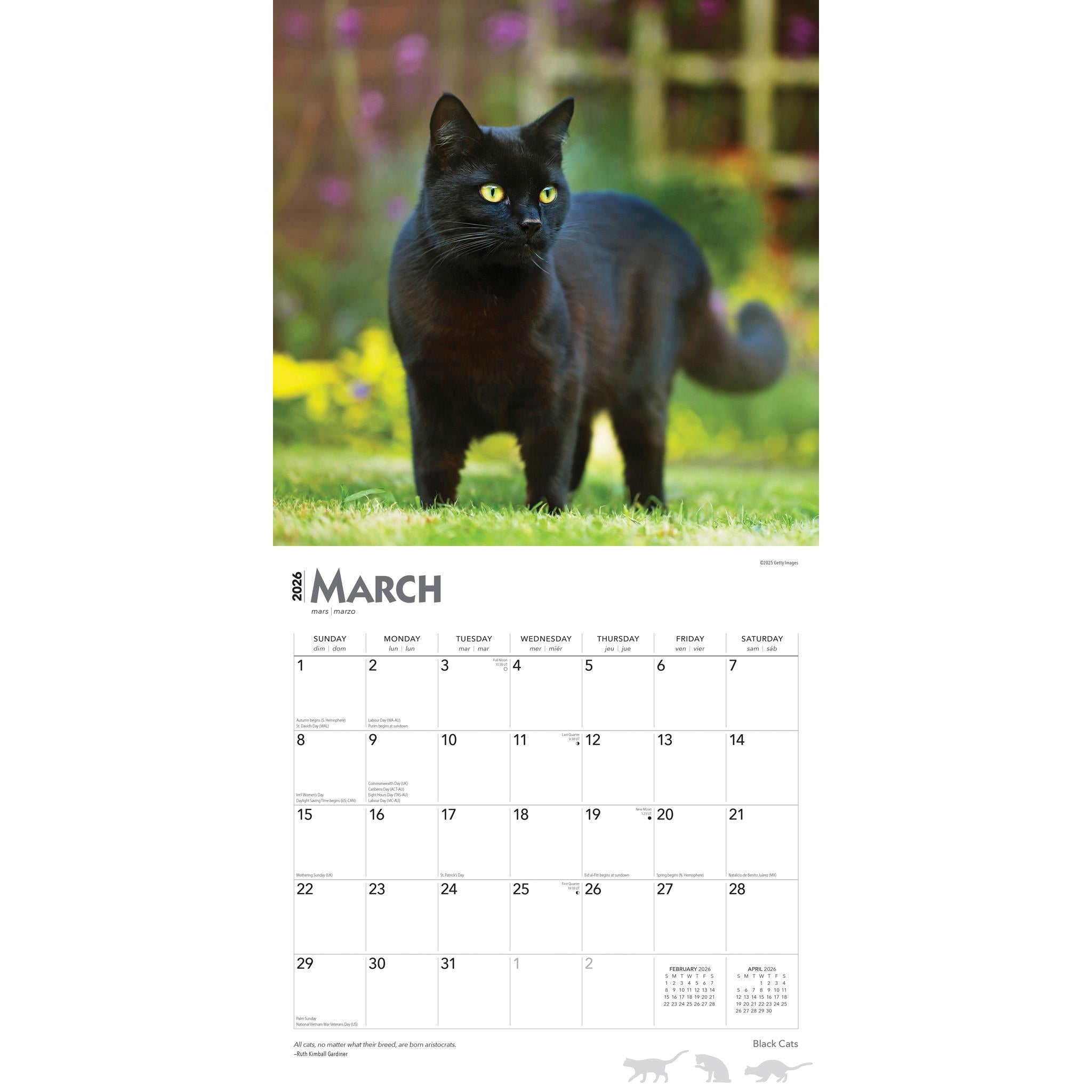 Black Cats 2026 Wall Calendar