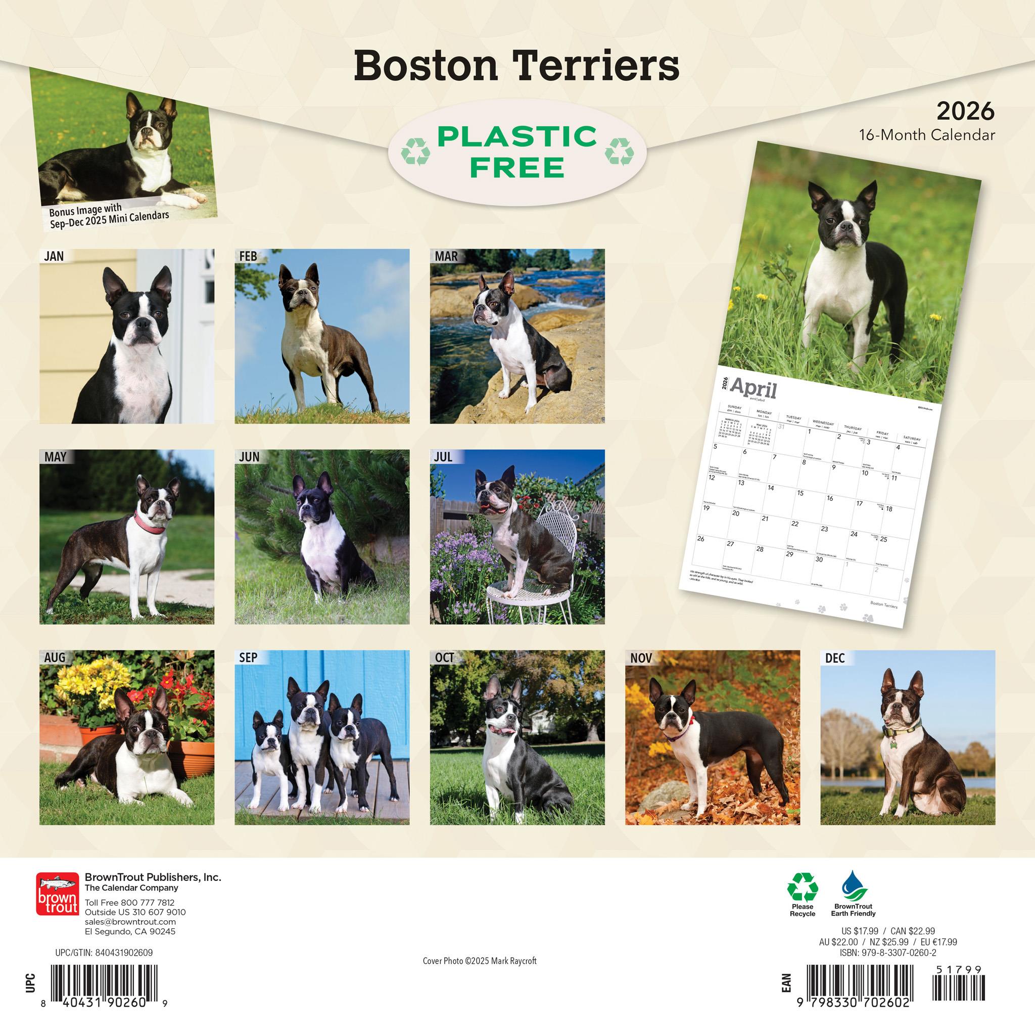 Calendrier mural Boston Terriers 2026