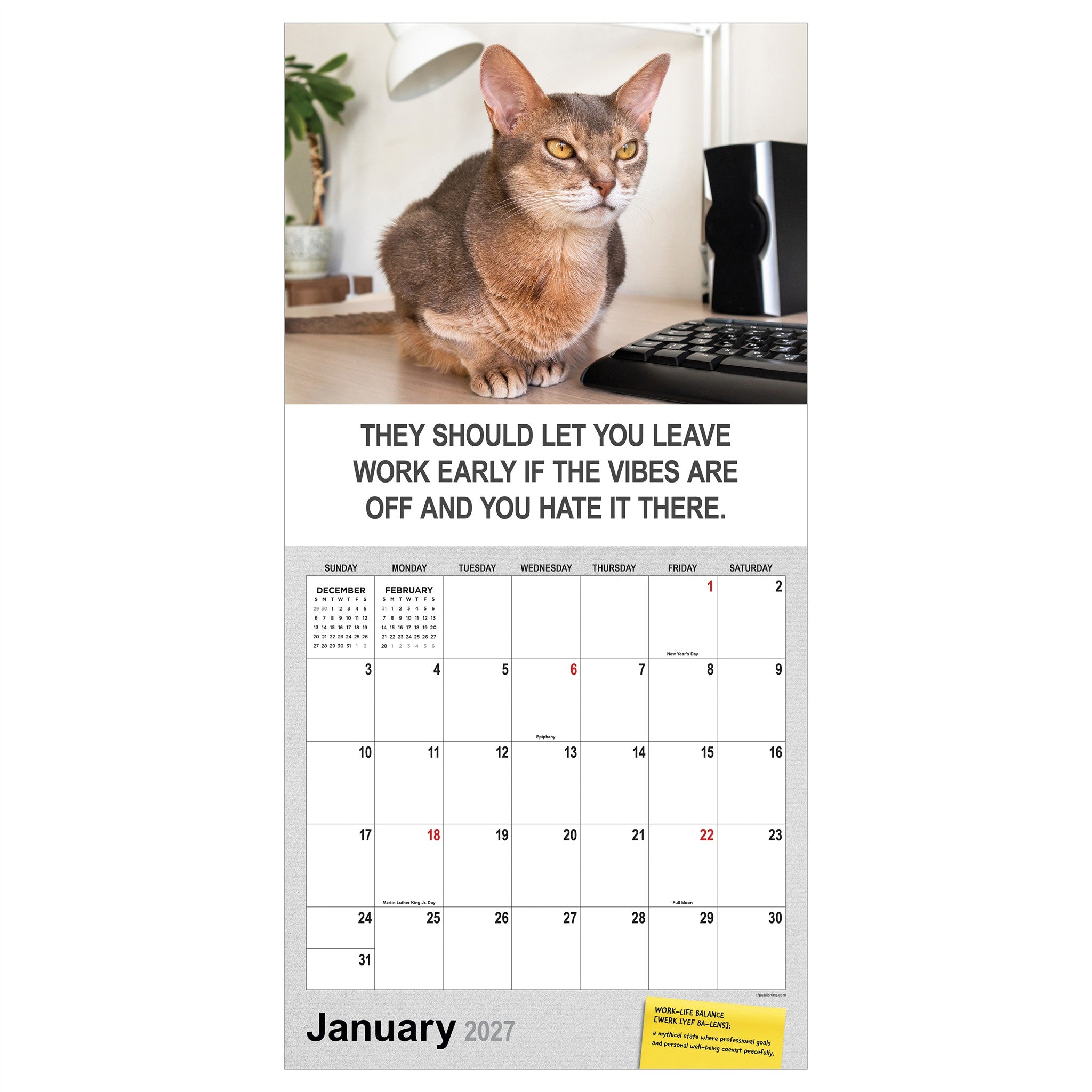Corporate Cats 2027 Wall Calendar