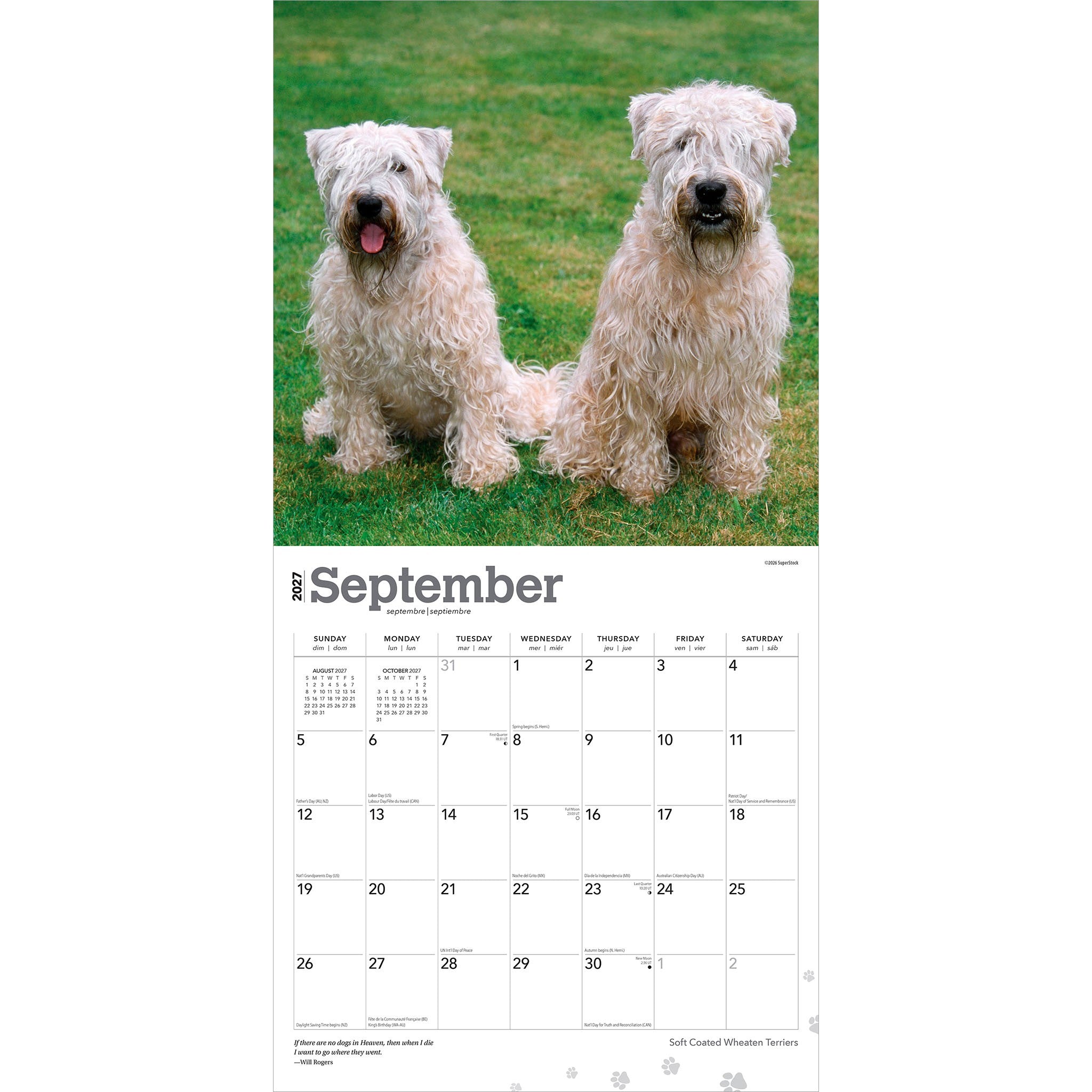 Soft Coated Wheaten Terriers 2027 Wall Calendar