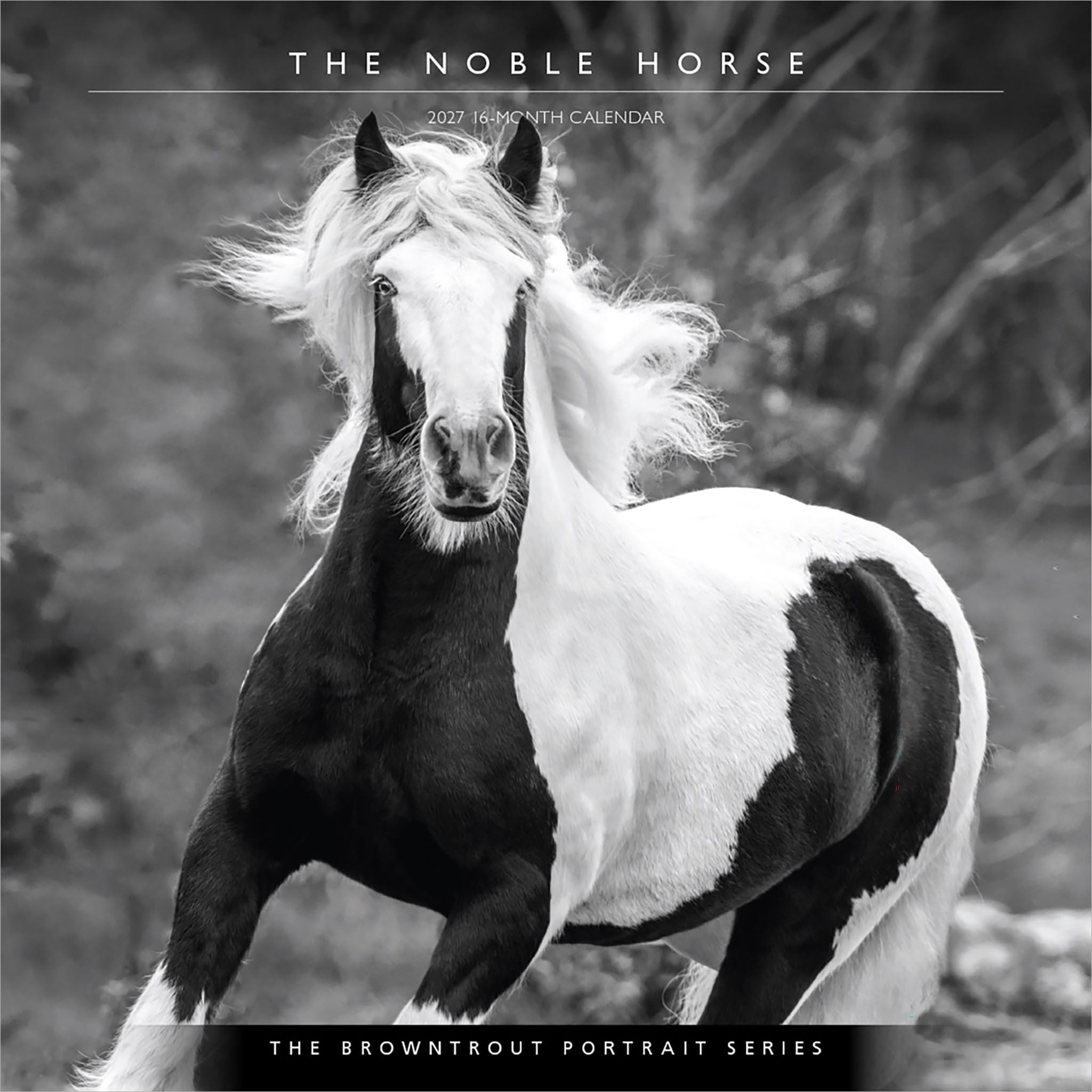 The Noble Horse 2027 Wall Calendar