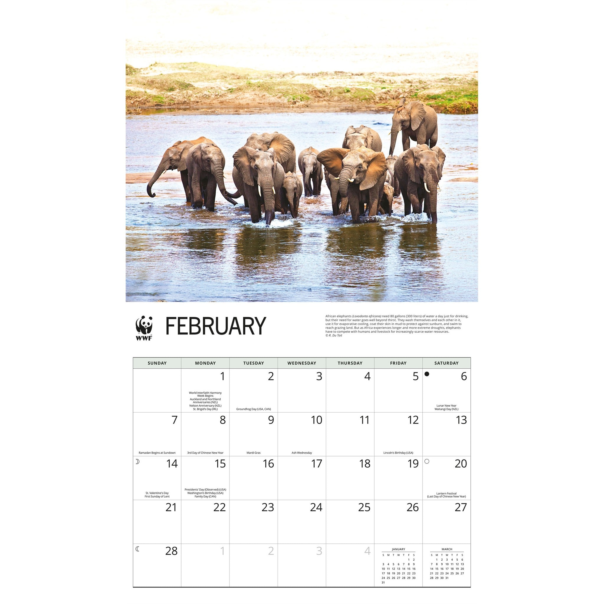Calendrier mural 2027 Éléphants du Fonds Mondial pour la Nature
