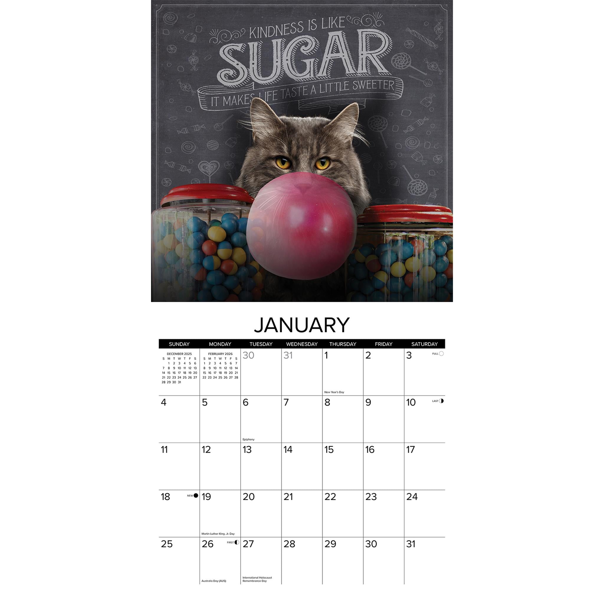 Catspirations 2026 Wall Calendar