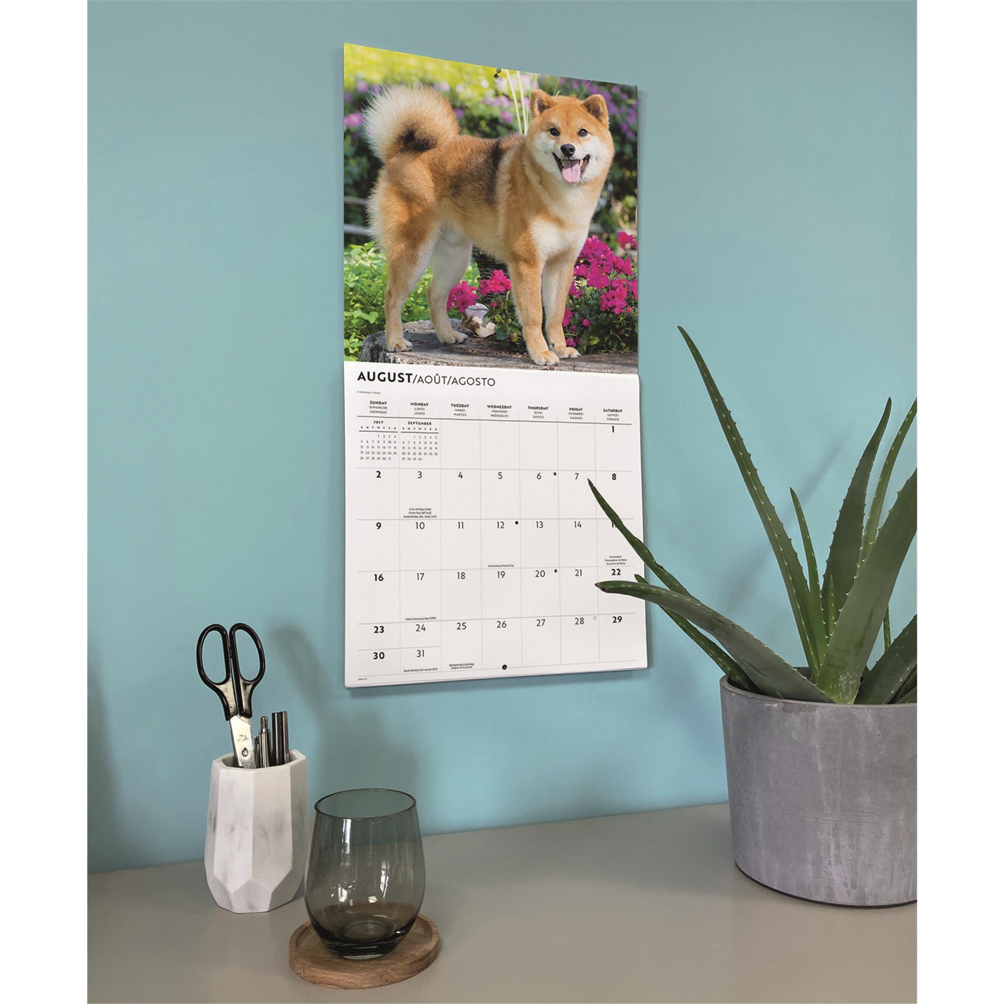 Calendrier mural Shiba Inu 2026