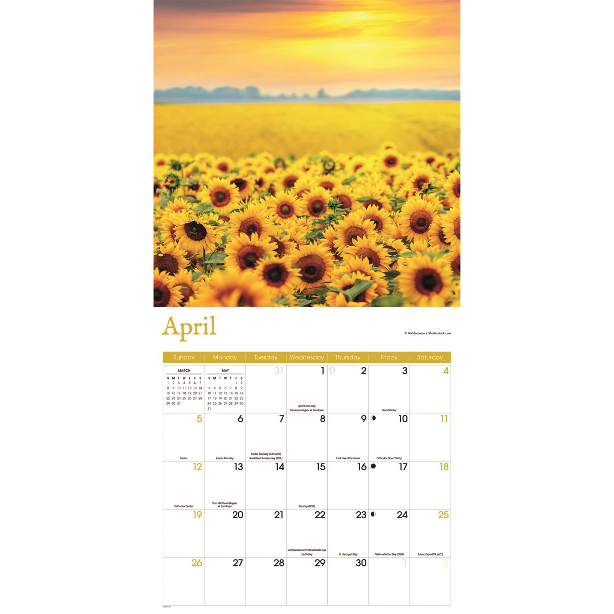 Calendrier mural Tournesols 2026