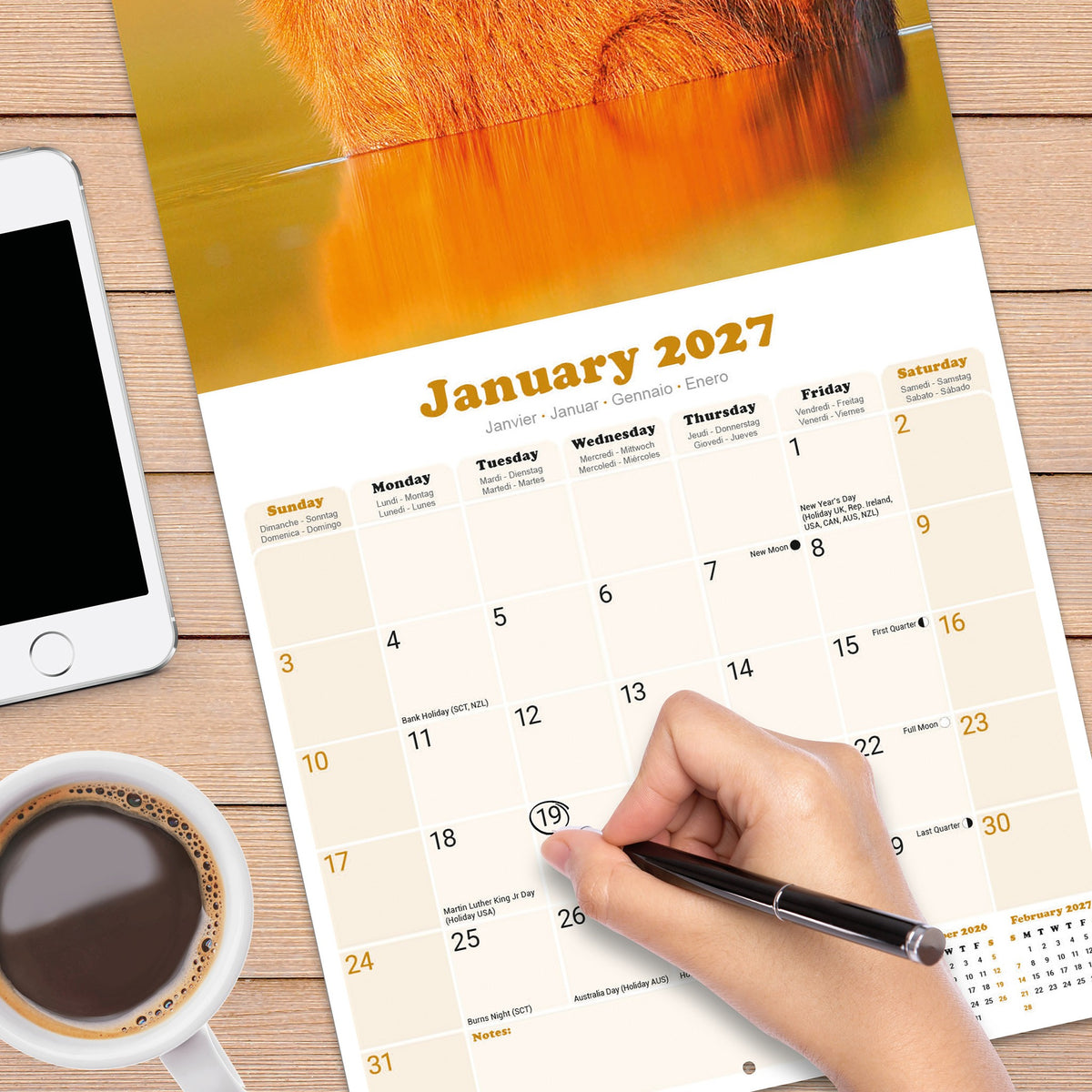 Capybara 2027 Wall Calendar