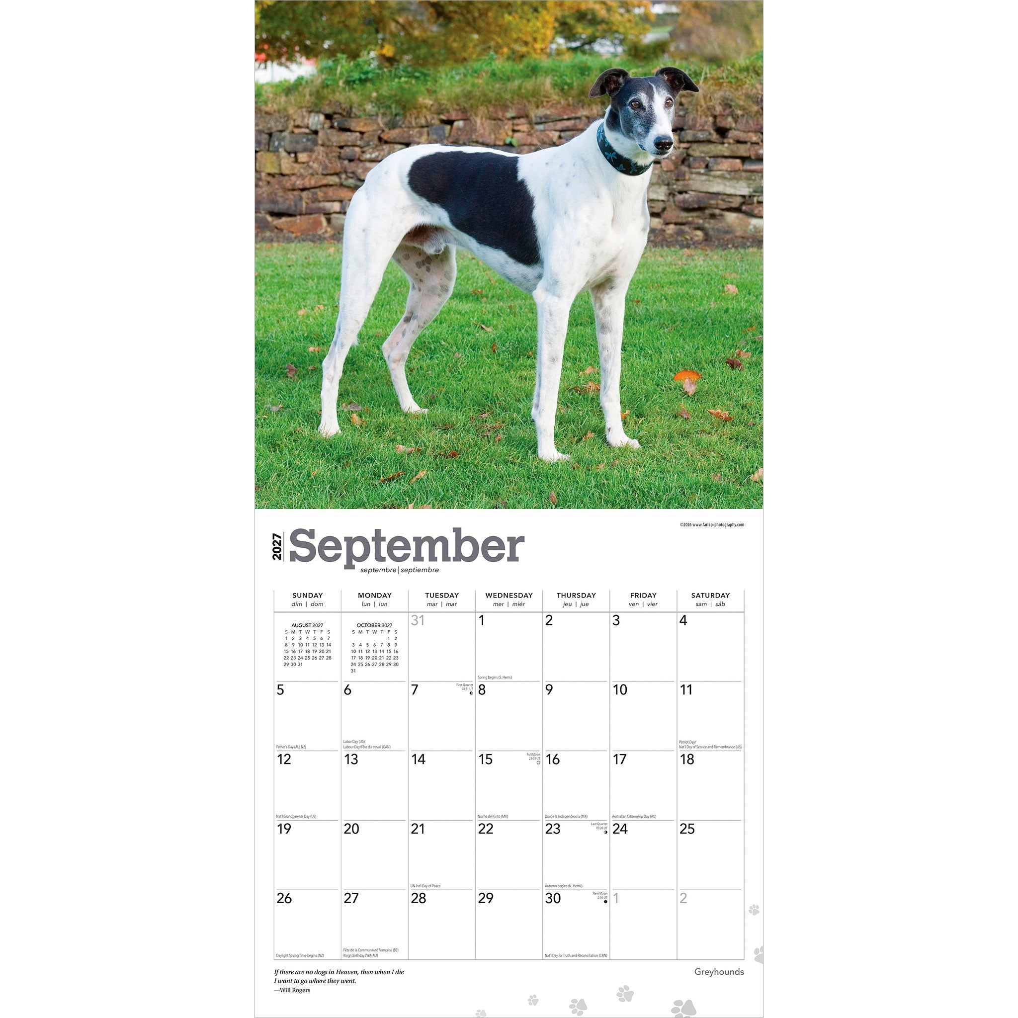 Greyhounds 2027 Wall Calendar
