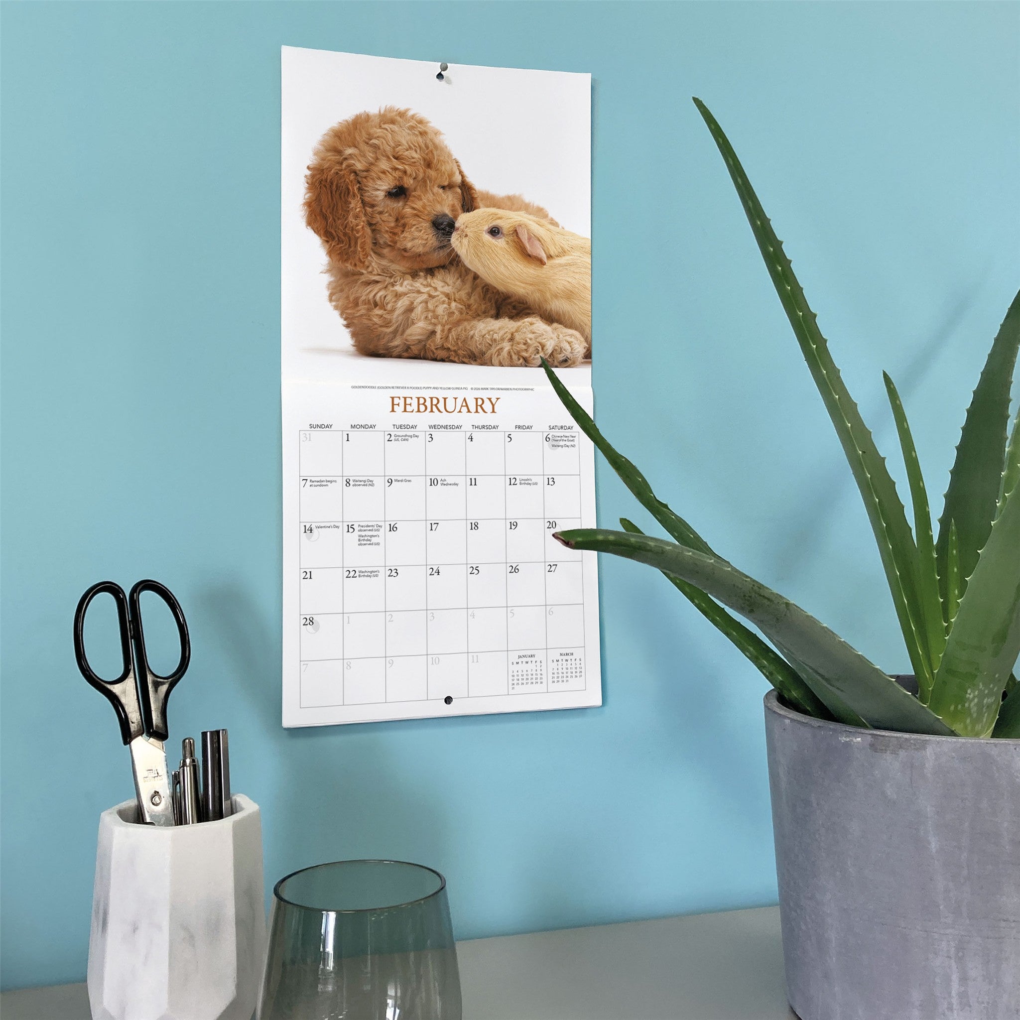 Mini-calendrier Chiots et amis 2027