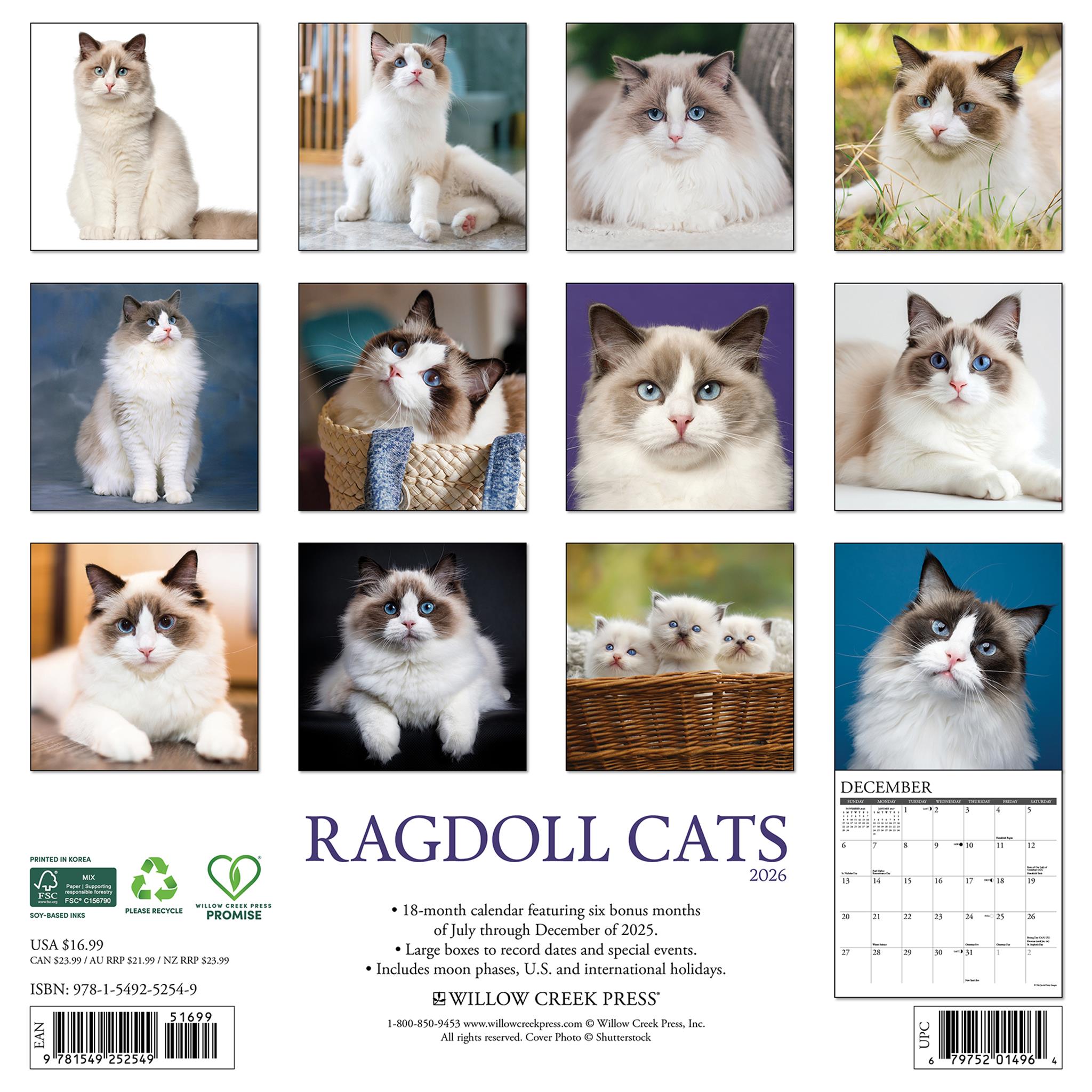 Calendrier mural des chats Ragdoll 2026