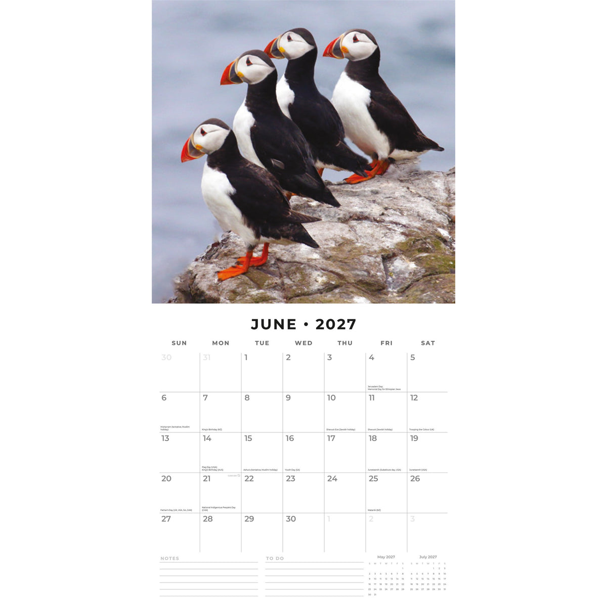 A wall calendar page for June 2027, featuring a large photograph of four puffins standing on a rock with a blurred blue-gray water background. Below the photo is the calendar grid with days of the week, dates, and writing areas.
