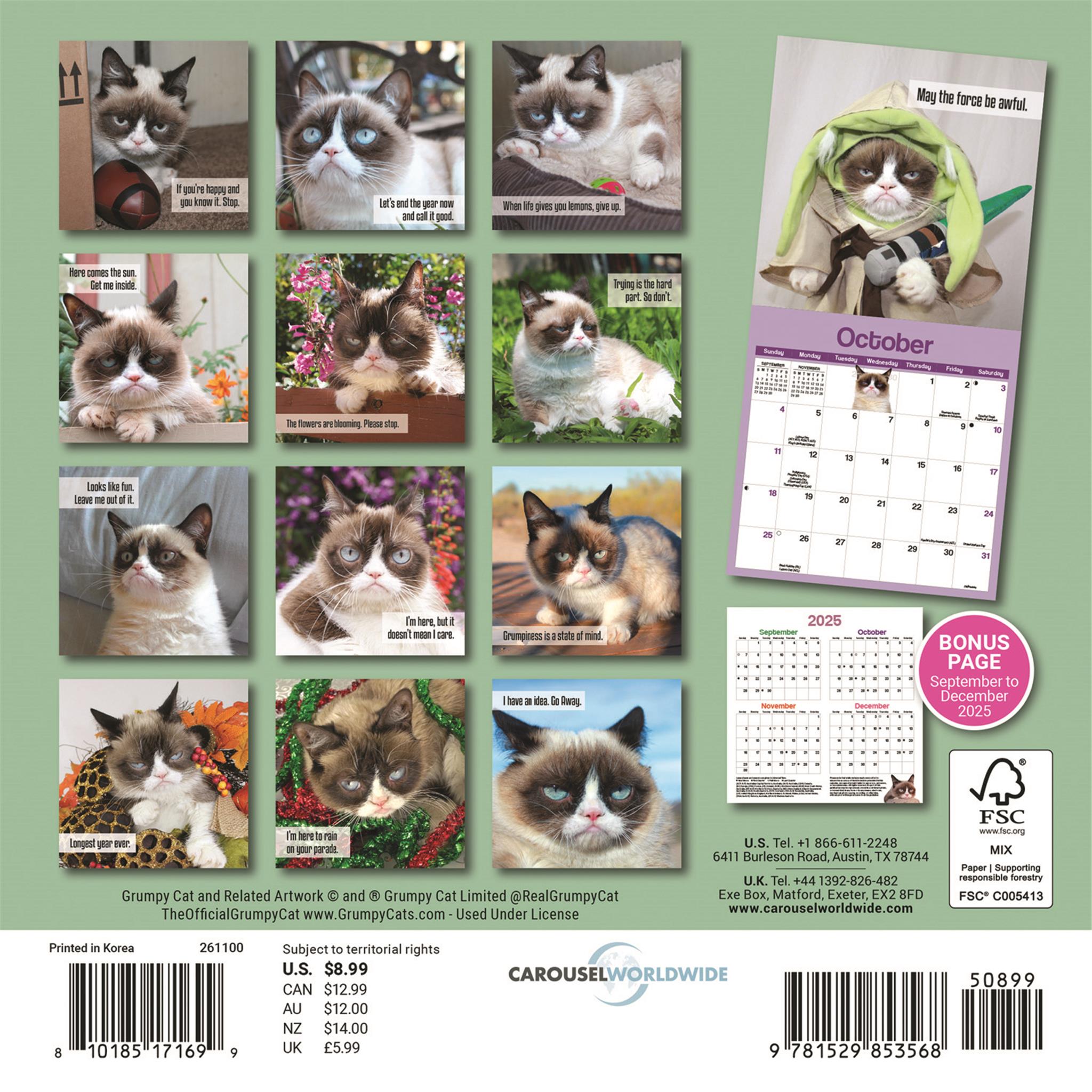 Mini calendrier Grumpy Cat 2026