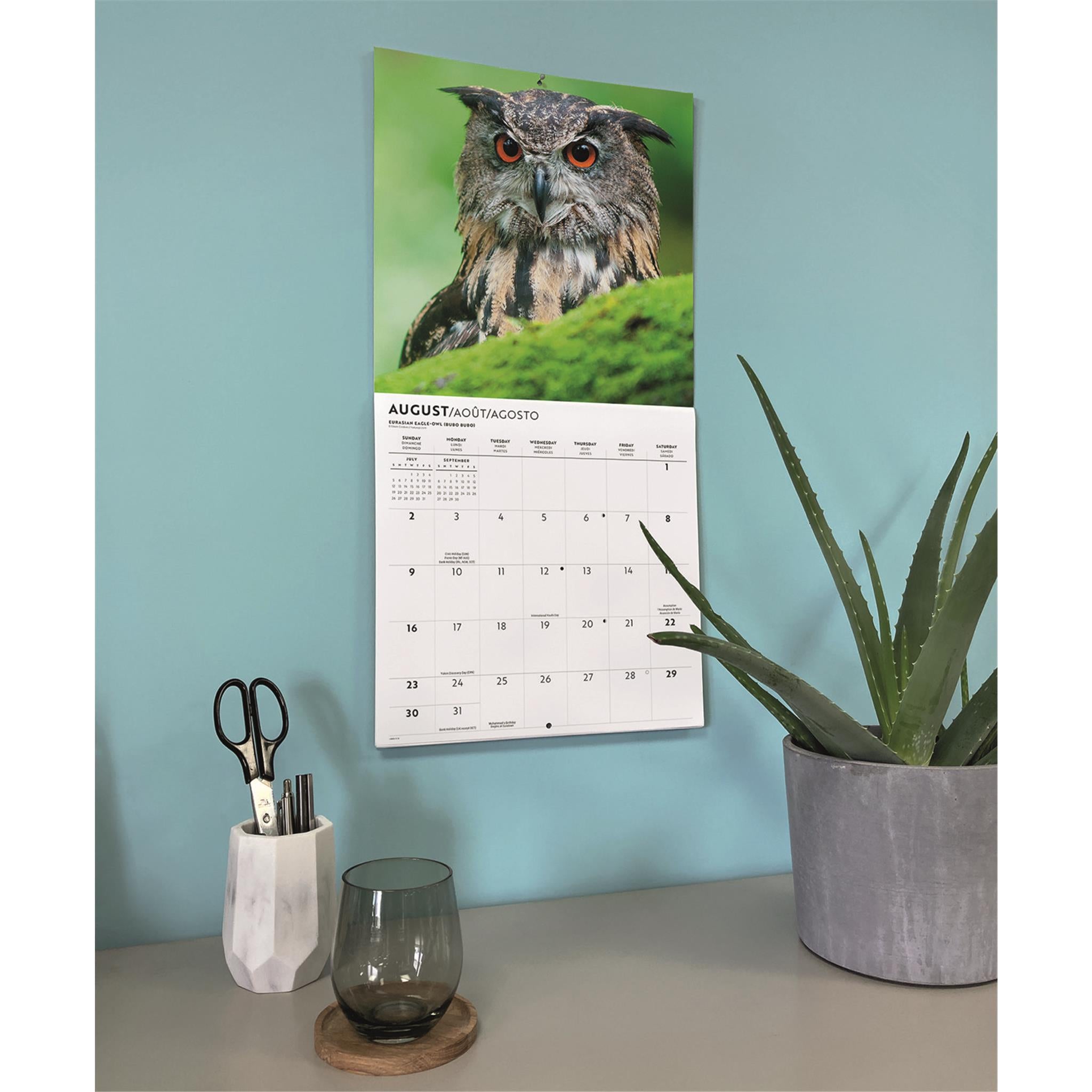 Calendrier mural Hiboux 2026