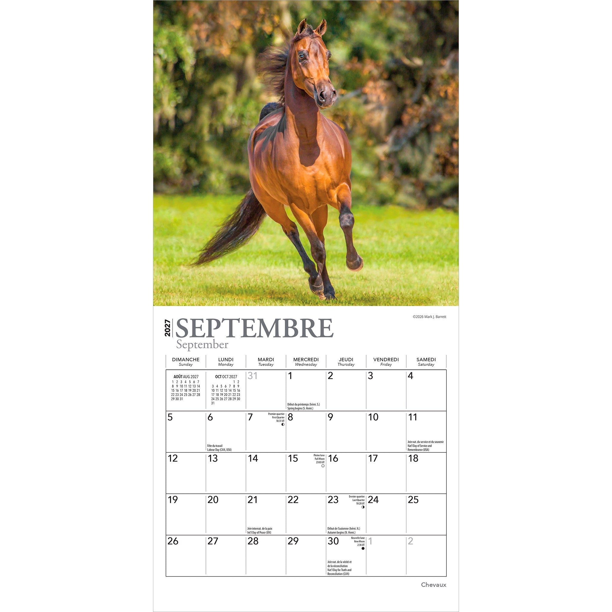 Chevaux 2027 Mini Calendar (French)