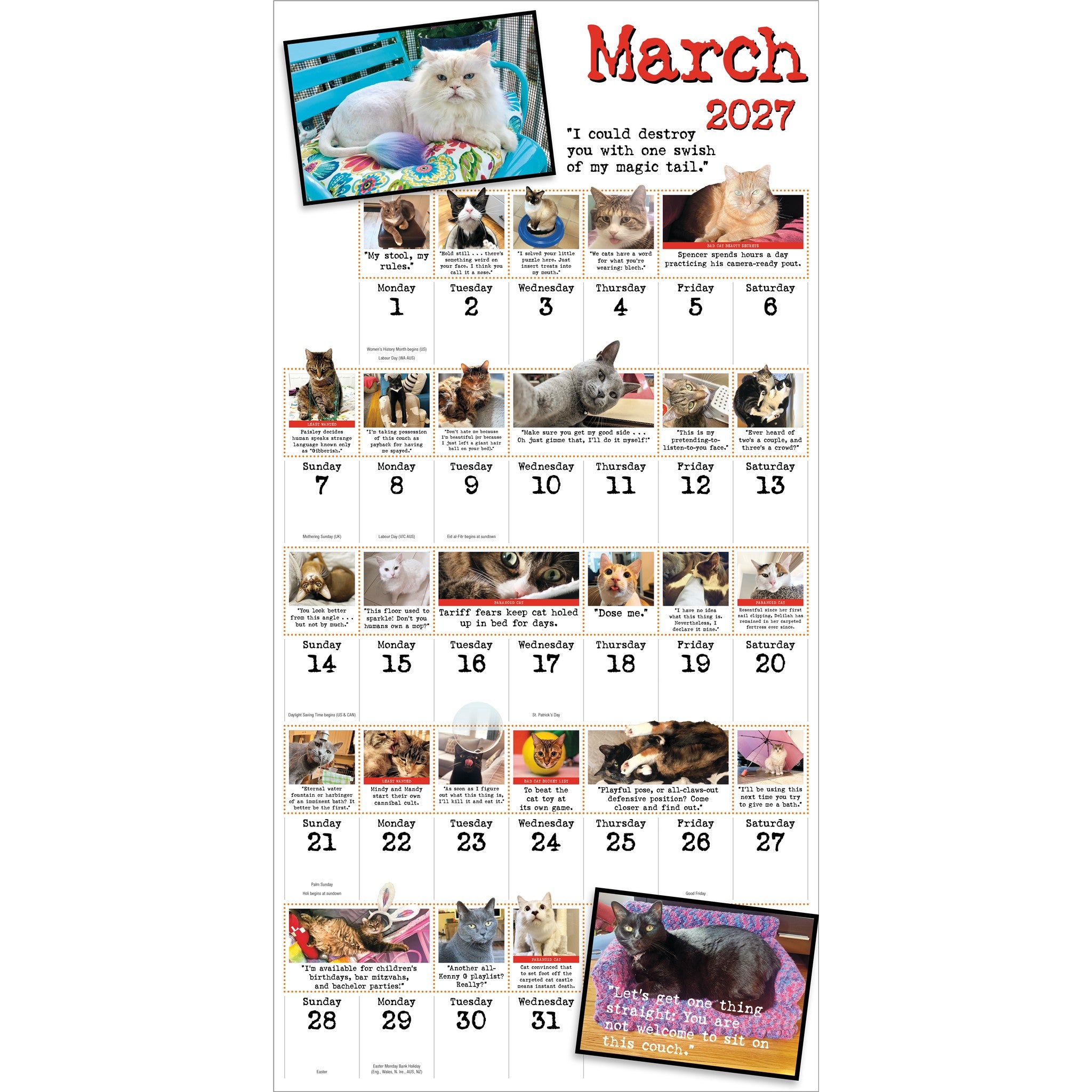 Bad Cat 2027 Wall Calendar - Online Only