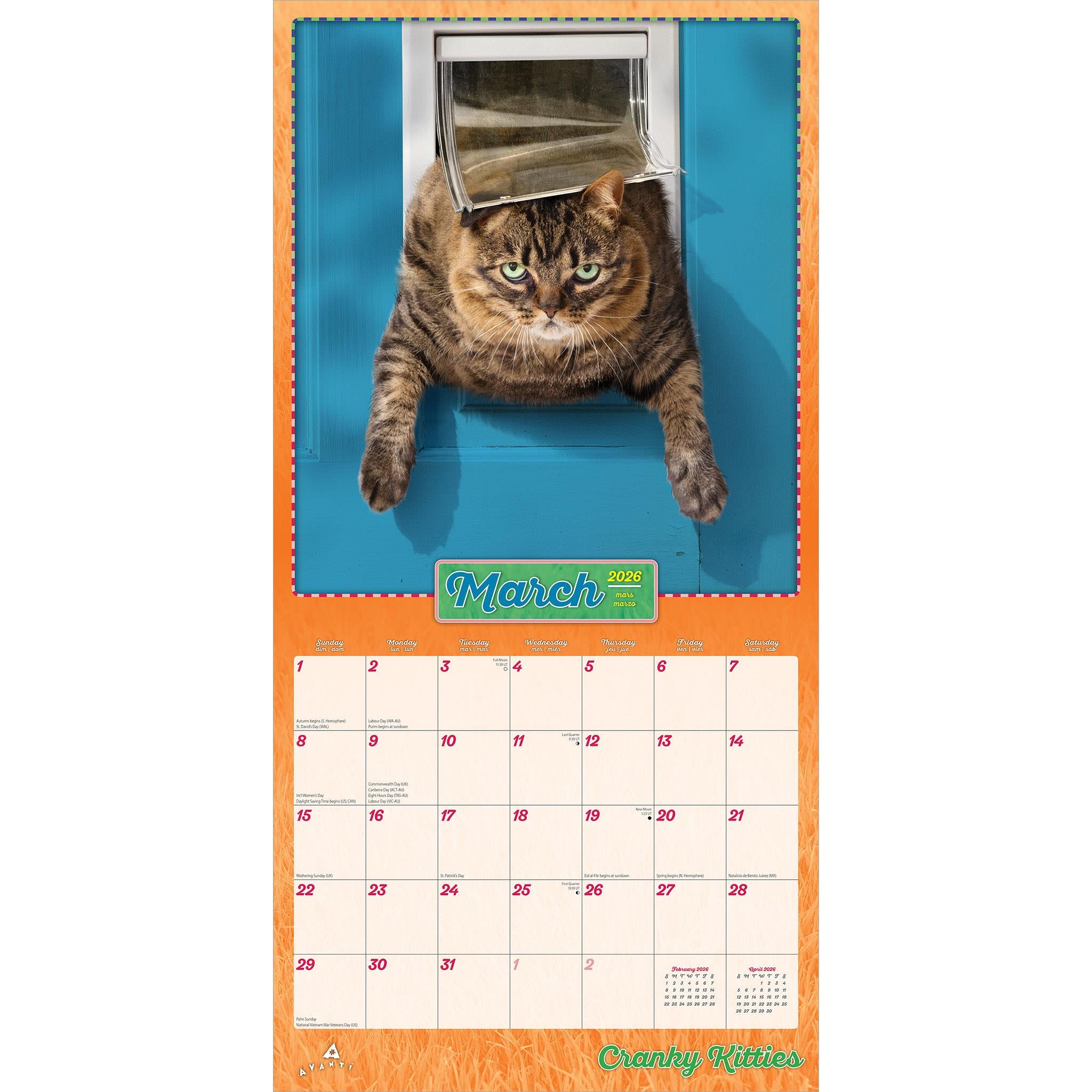 Calendrier mural Avanti Cranky Kitties 2026 - Disponible uniquement en ligne