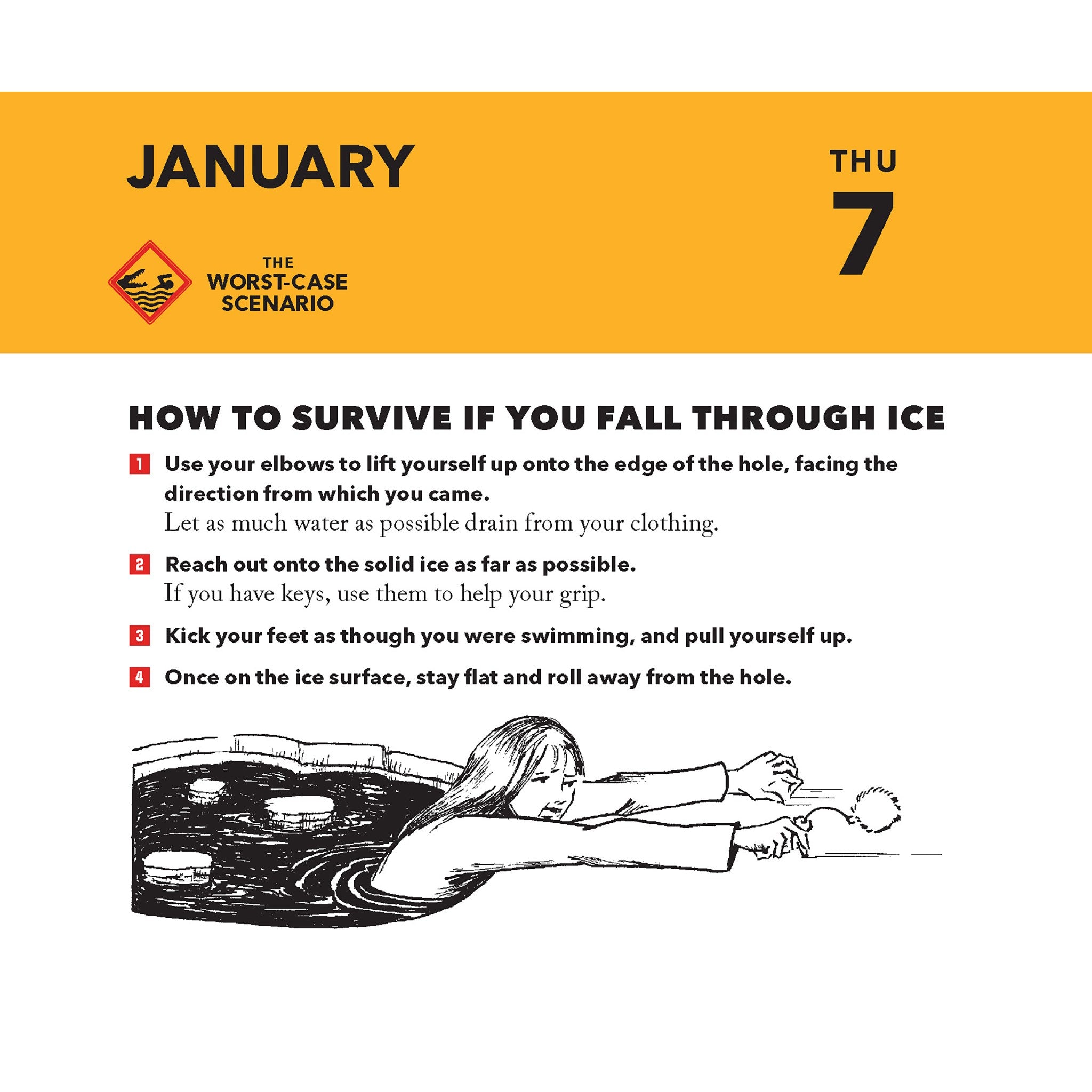 Worst Case Scenario Survival 2027 Box Calendar