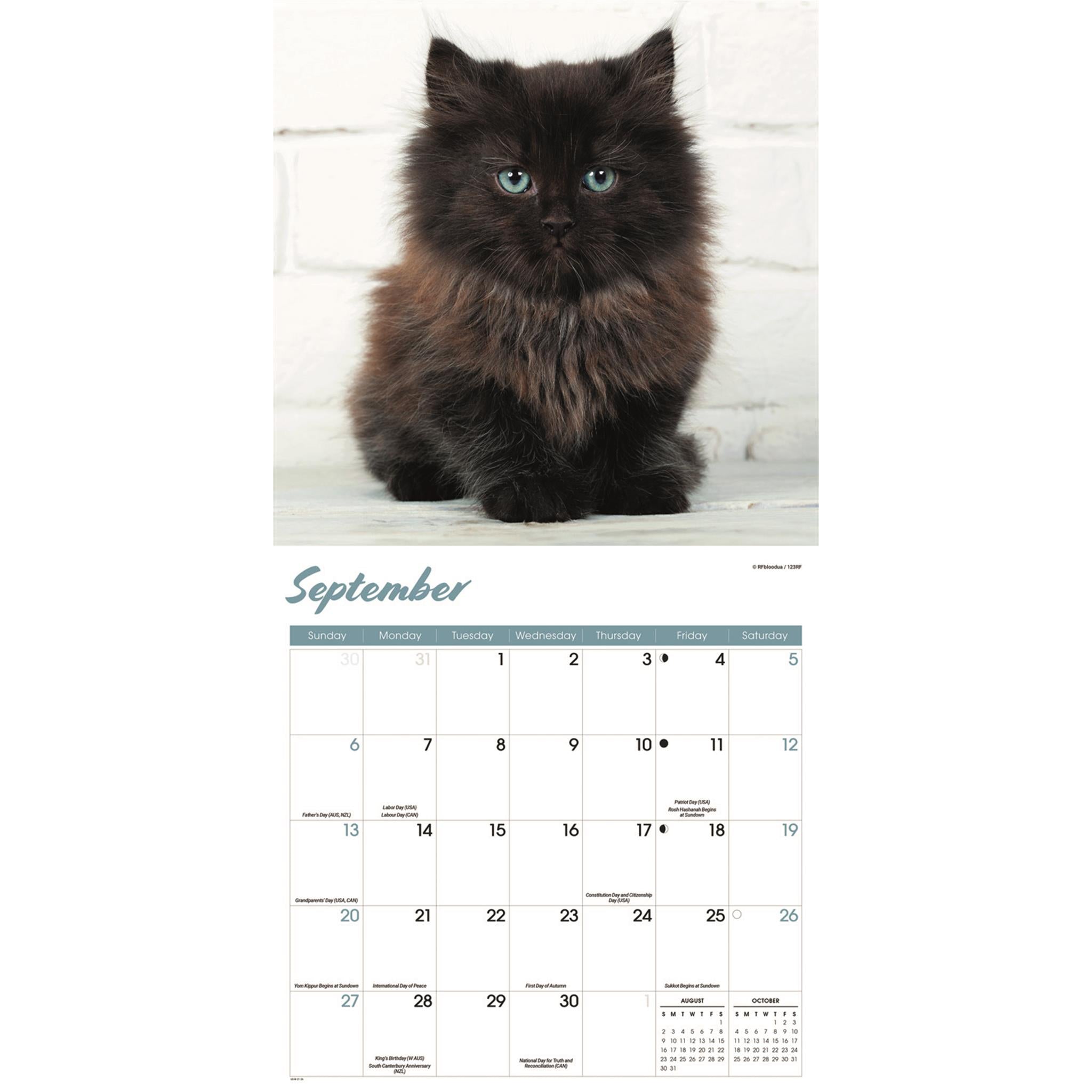 Calendrier mural Chatons noirs 2026