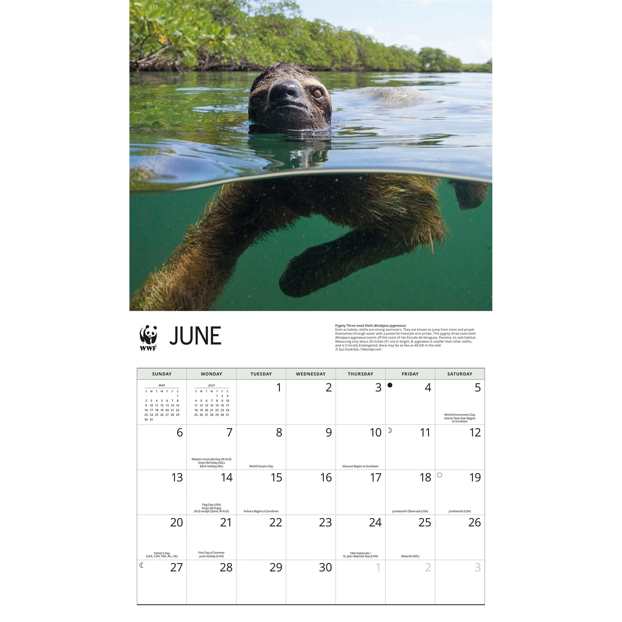 Calendrier Mural Paresseux 2027 du Fonds Mondial pour la Nature
