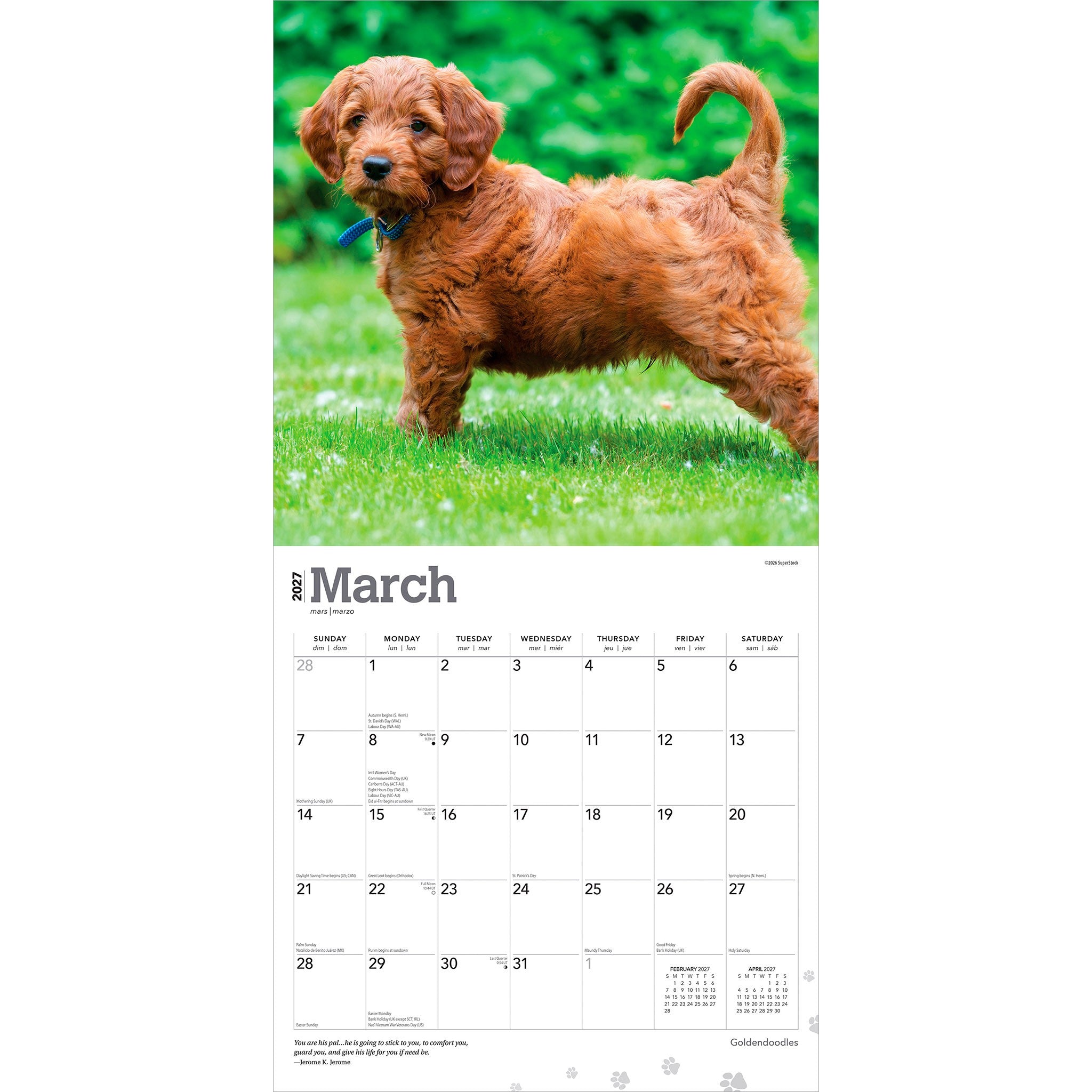 Goldendoodles 2027 Wall Calendar