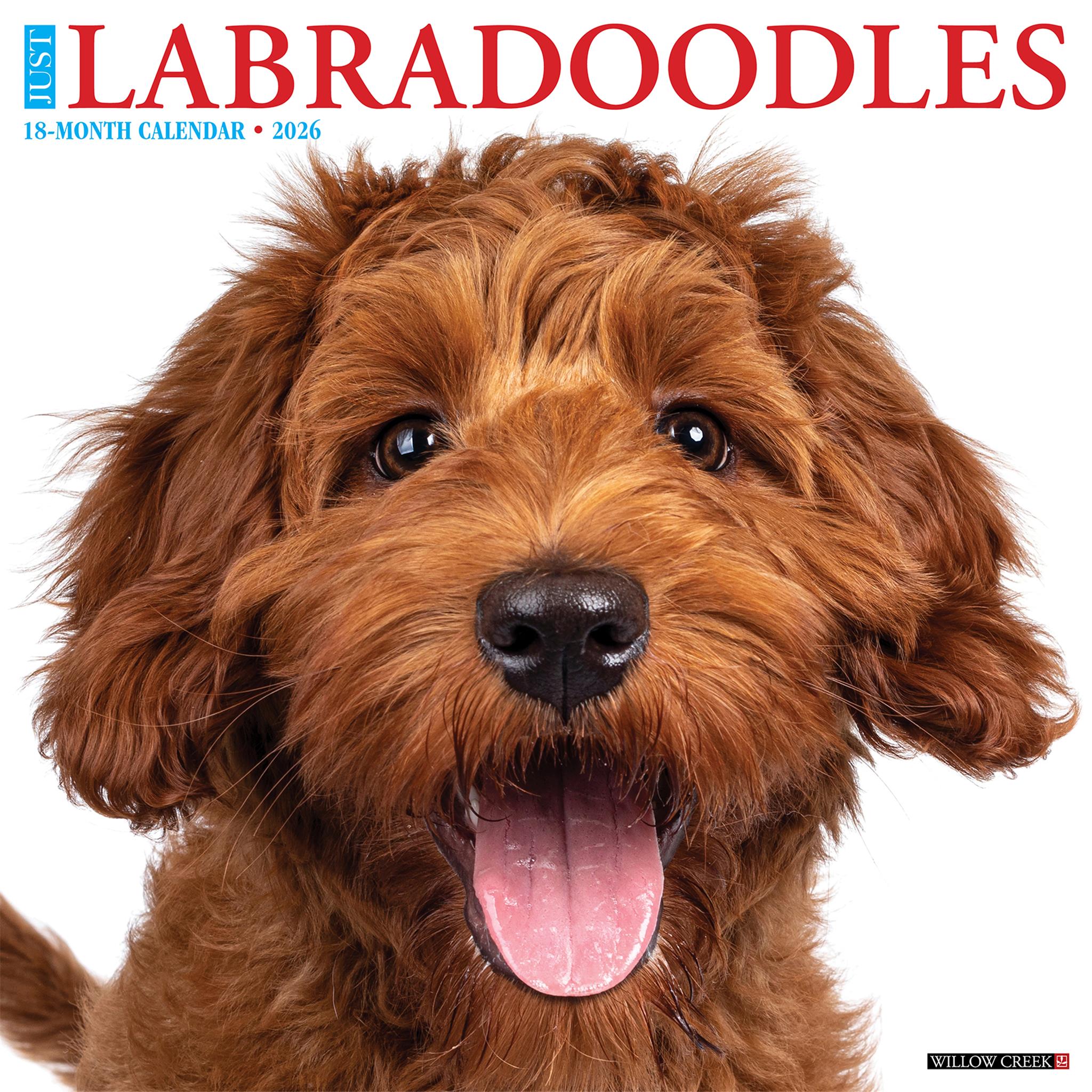 Calendrier mural Just Labradoodles 2026