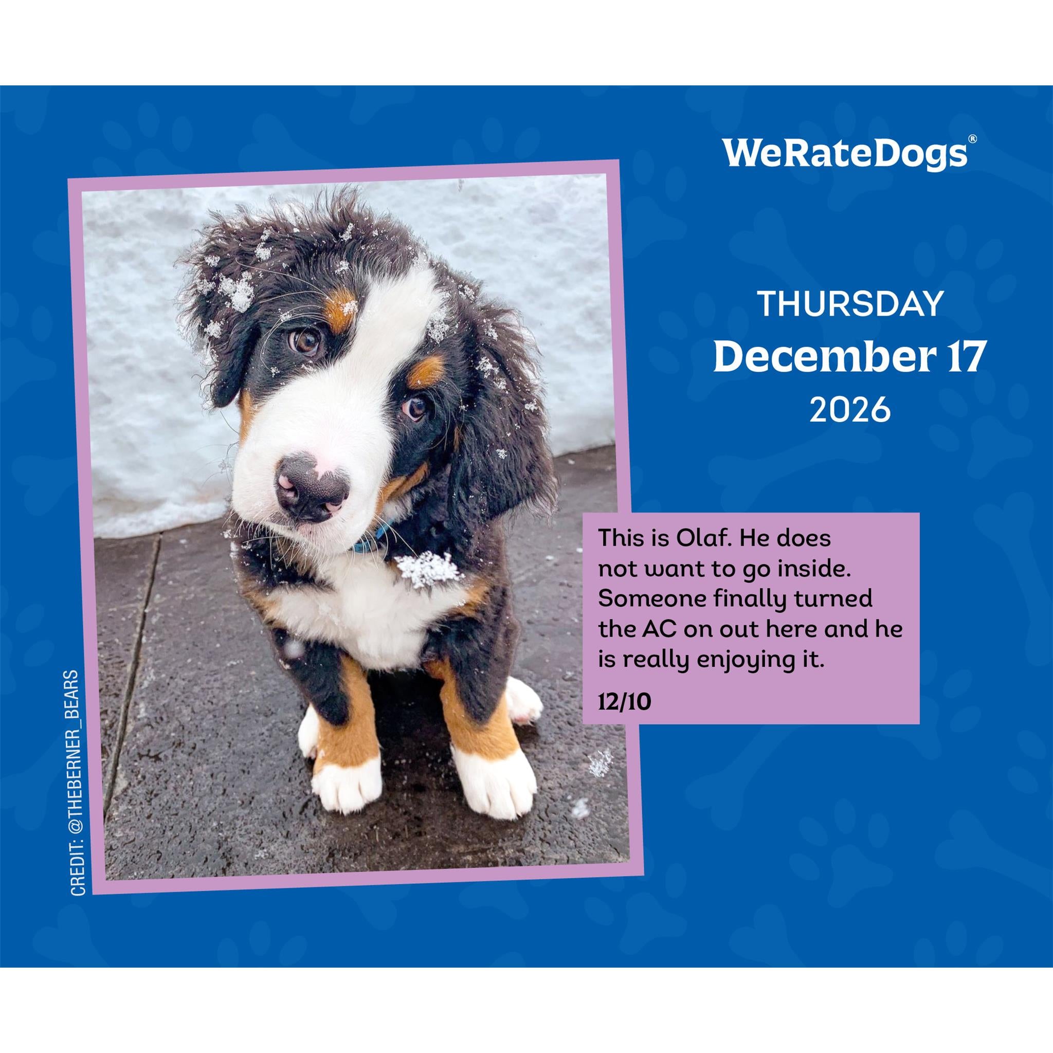 Calendrier Weratedogs 2026